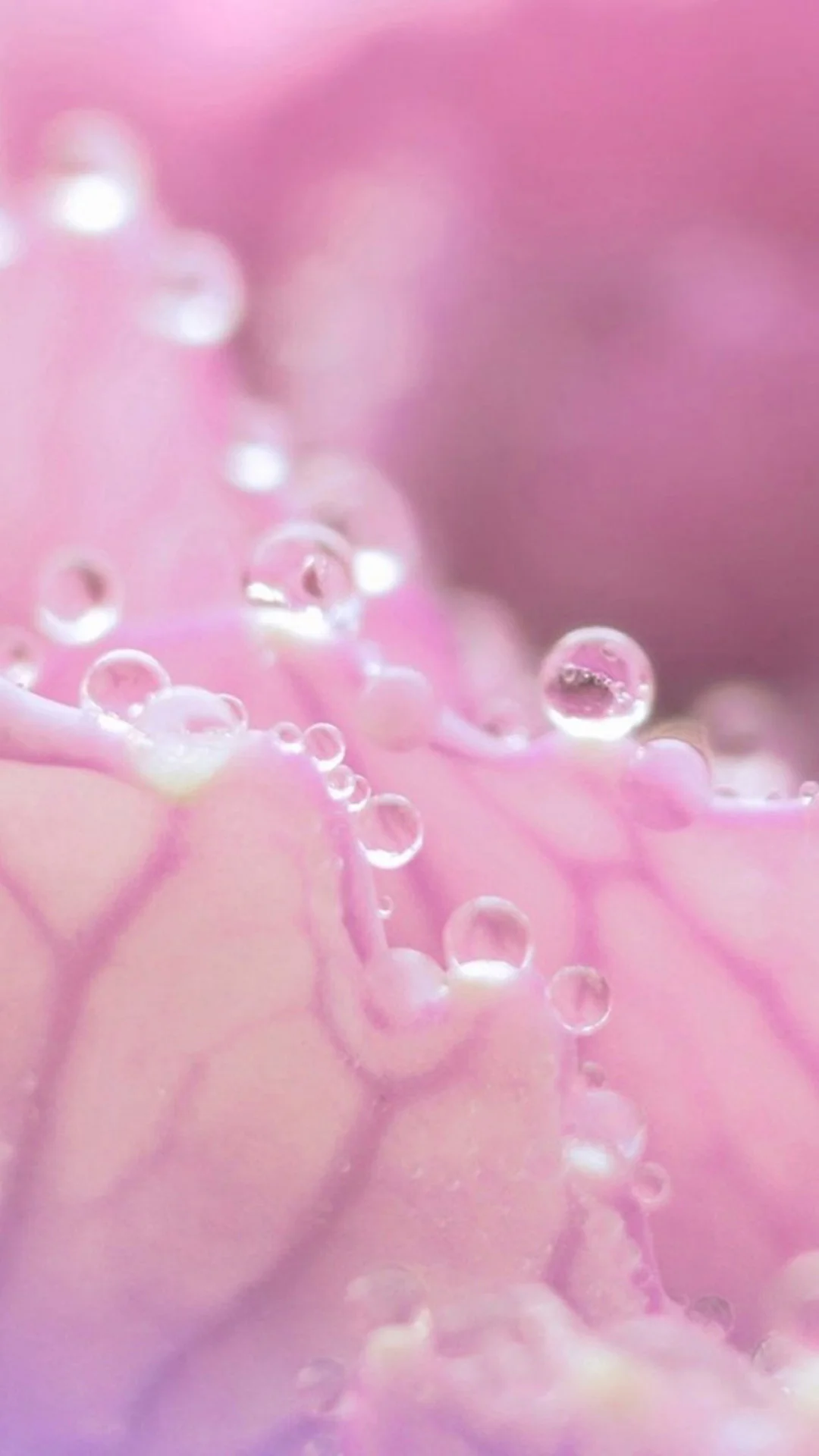 Pink Water Drop Galaxy S5 Wallpapers