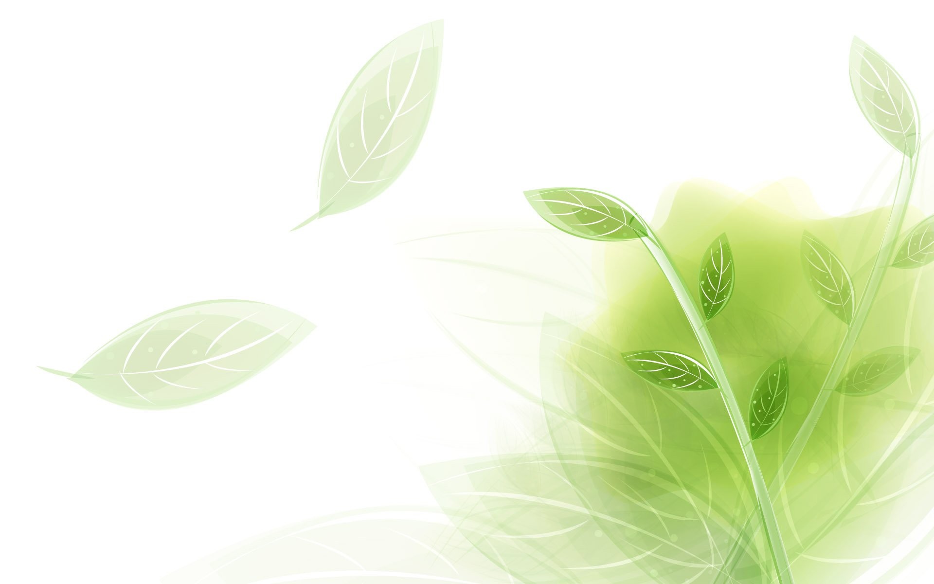 Wallpaper light green 296288