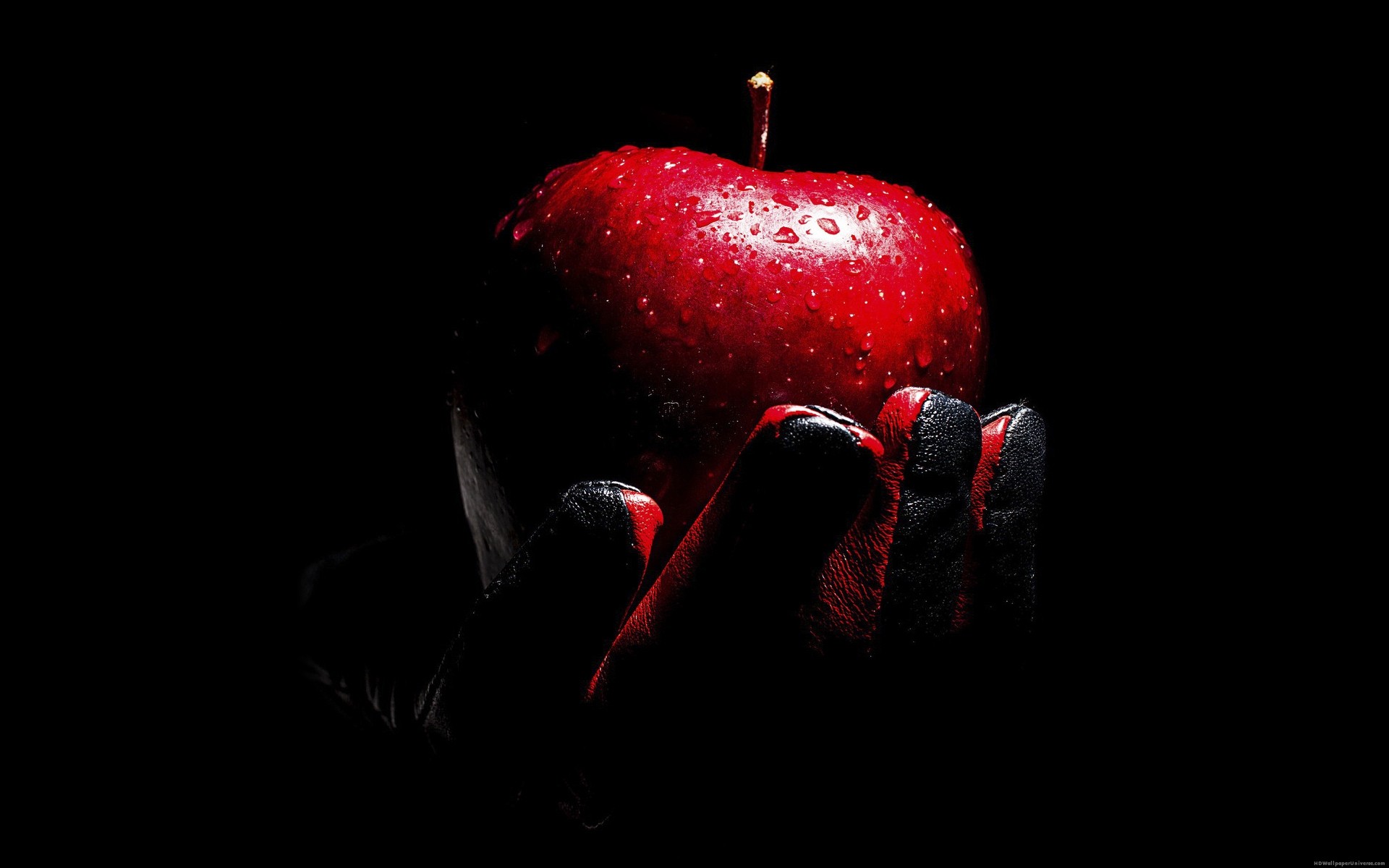 Red Apple black leather glove HD Wallpaper – allpaperuniverse