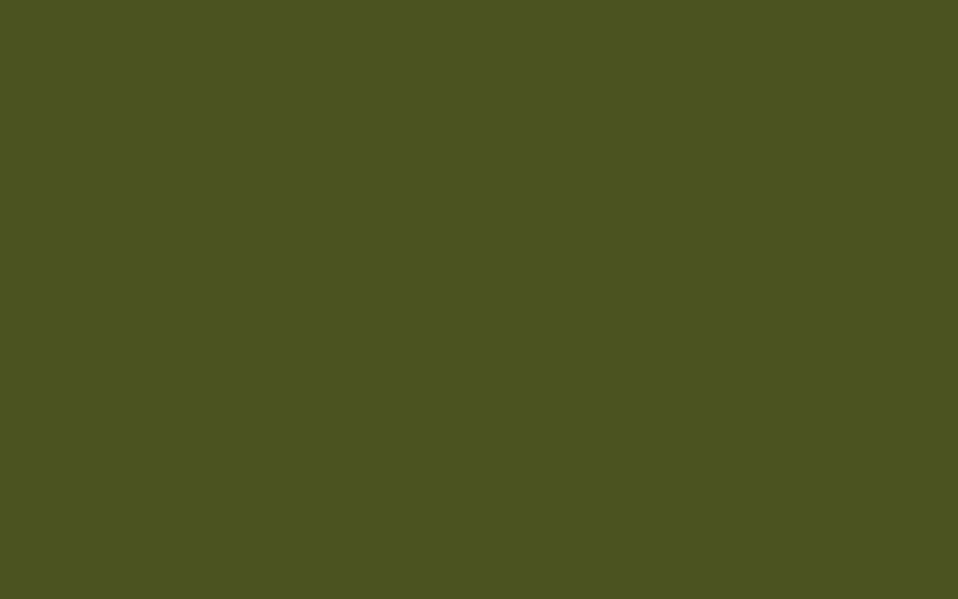 1920×1200 army green solid color background