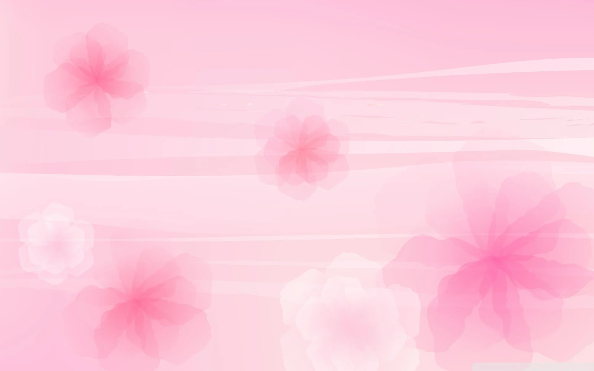 Pastel Lace Backgrounds Tumblr Lights You Themes Displaying Images For Pink Nursing Background. house site