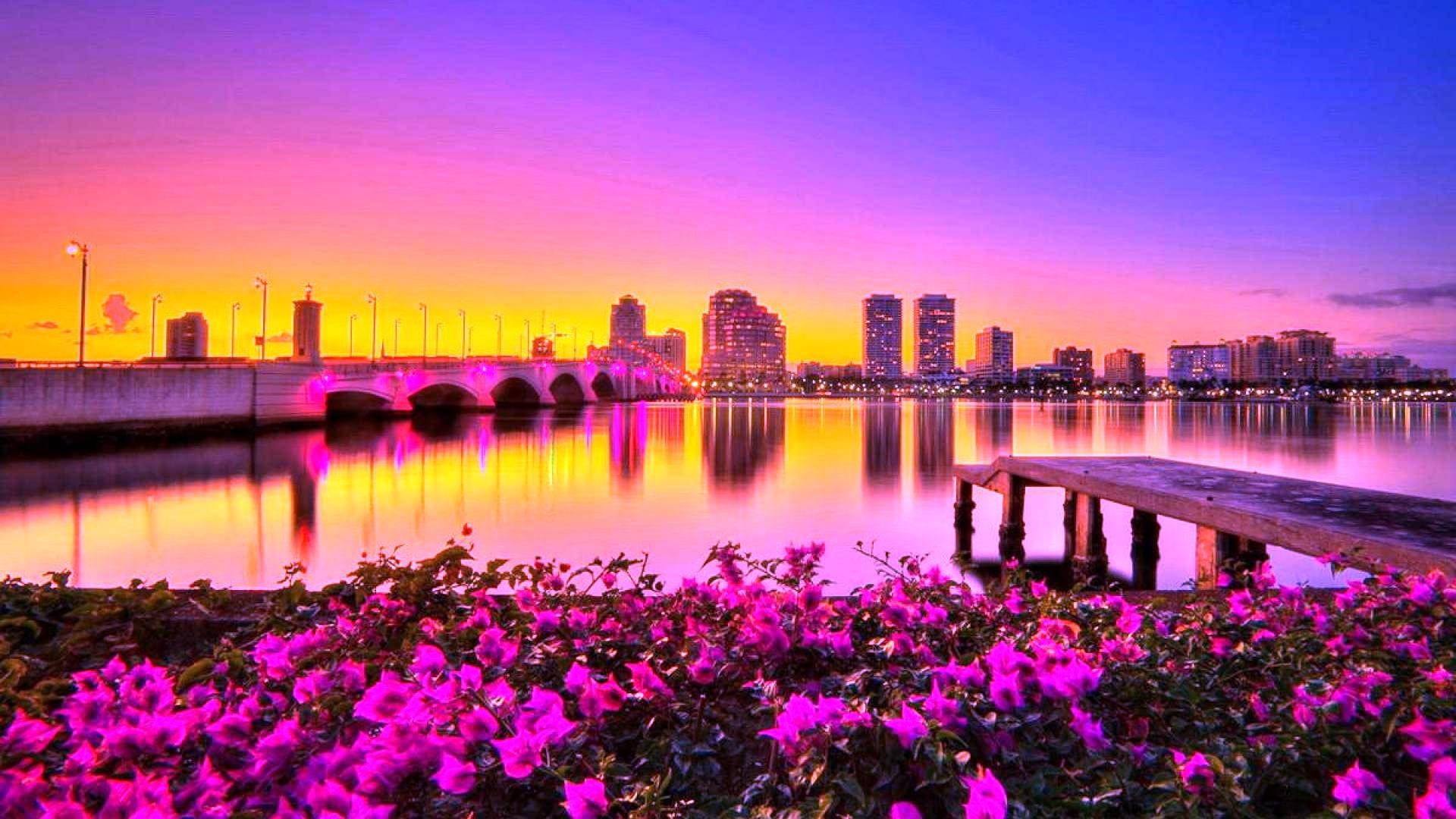 #CC55BB Color – Nature Flowers Sun Fields Sky Photography Clouds City Sunrise Bridge Splendor Paradise