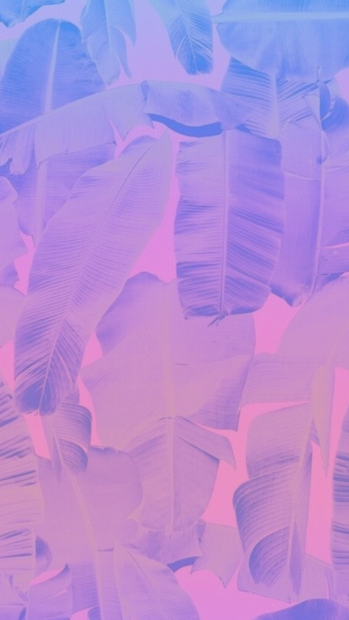 Original image not by me I just made the ombr / gradient. Leaves,. Pink Wallpaper IphonePurple WallpaperPhone BackgroundsWallpaper