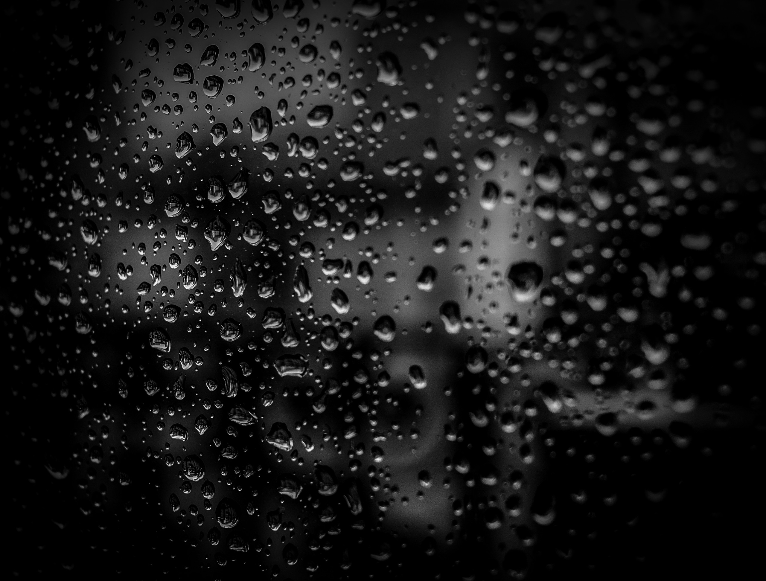 Free stock photo of water, dark, glass, dew