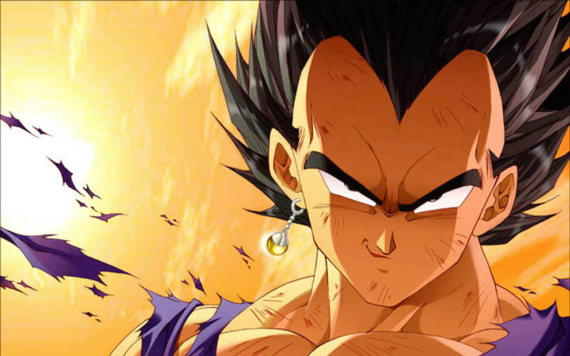 Dragon Ball Z – Vegeta HD Wallpaper Animation Wallpapers