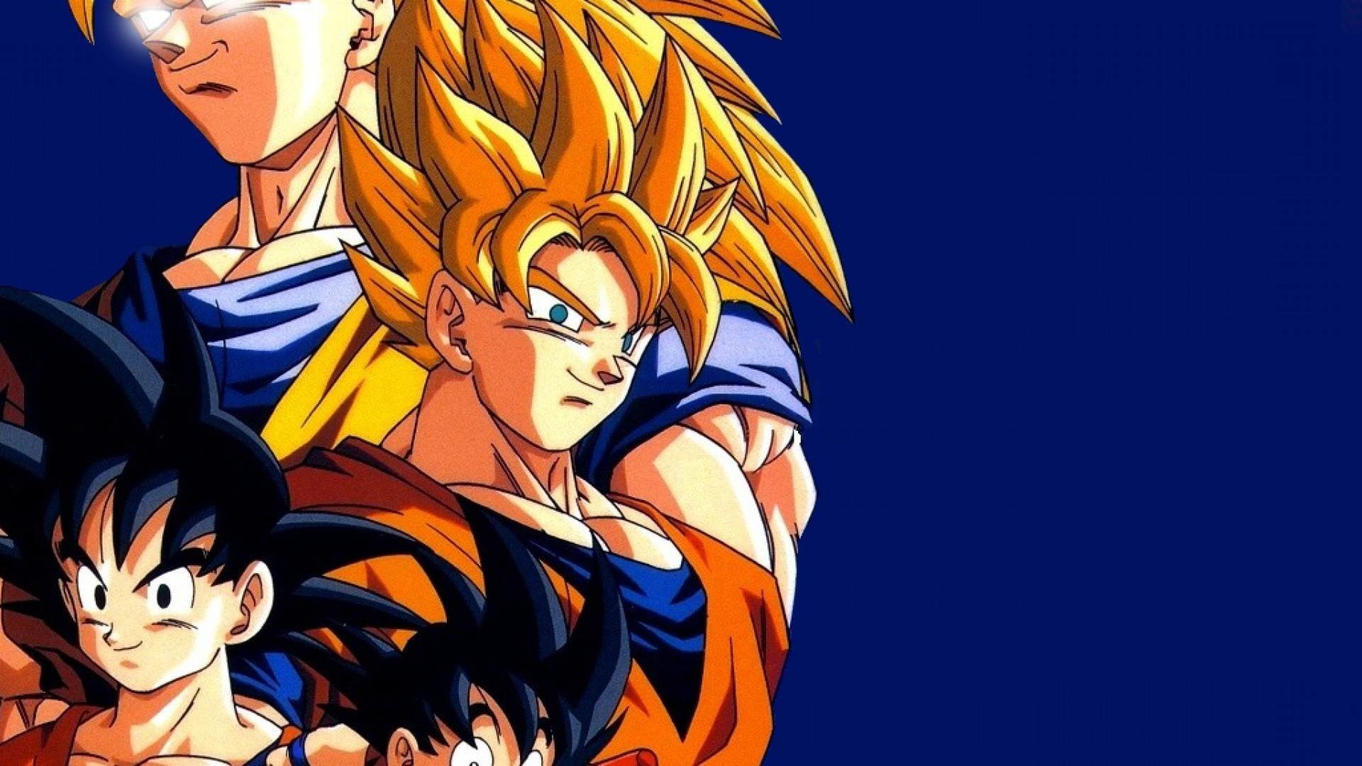 Super Saiyan Goku Wallpaper Hd HDWallpaper.net 19201080