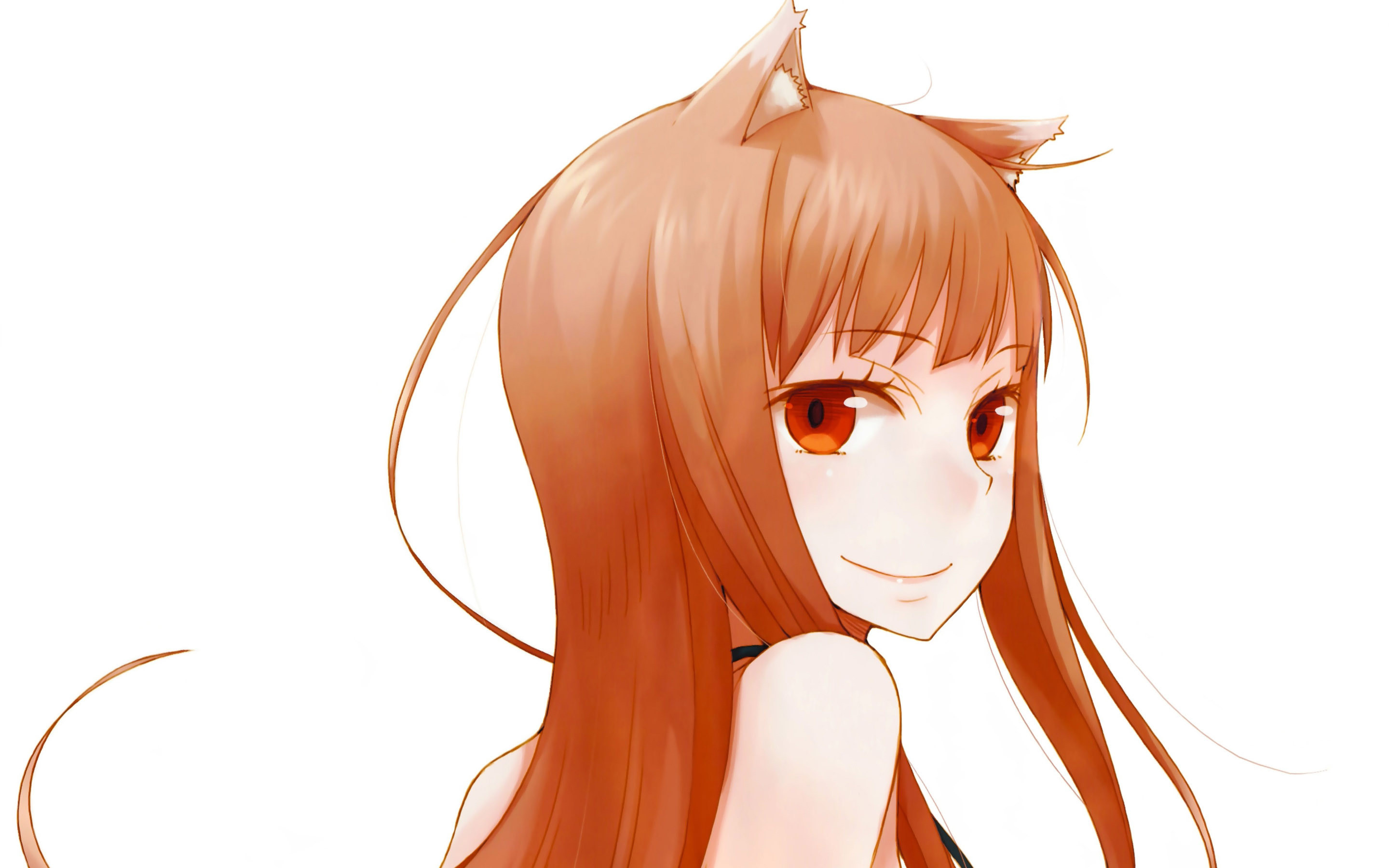 … Spice and Wolf HD Wallpaper 2880×1800