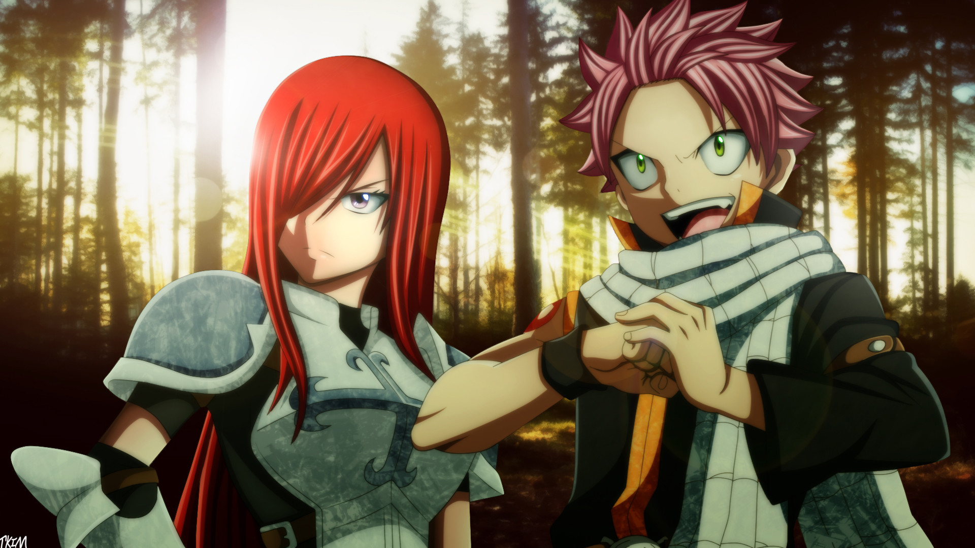 Natsu dragneel and erza scarlet fairy tail anime