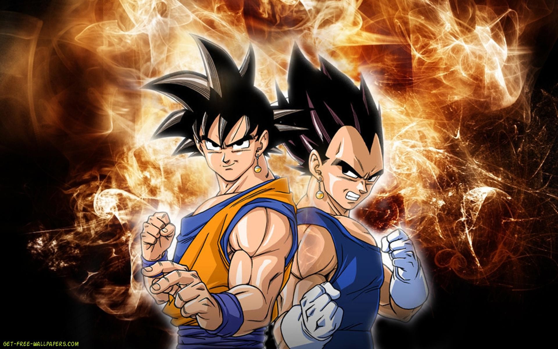 Free Download Vegeta and Goku Dragon Ball Z Wallpaper