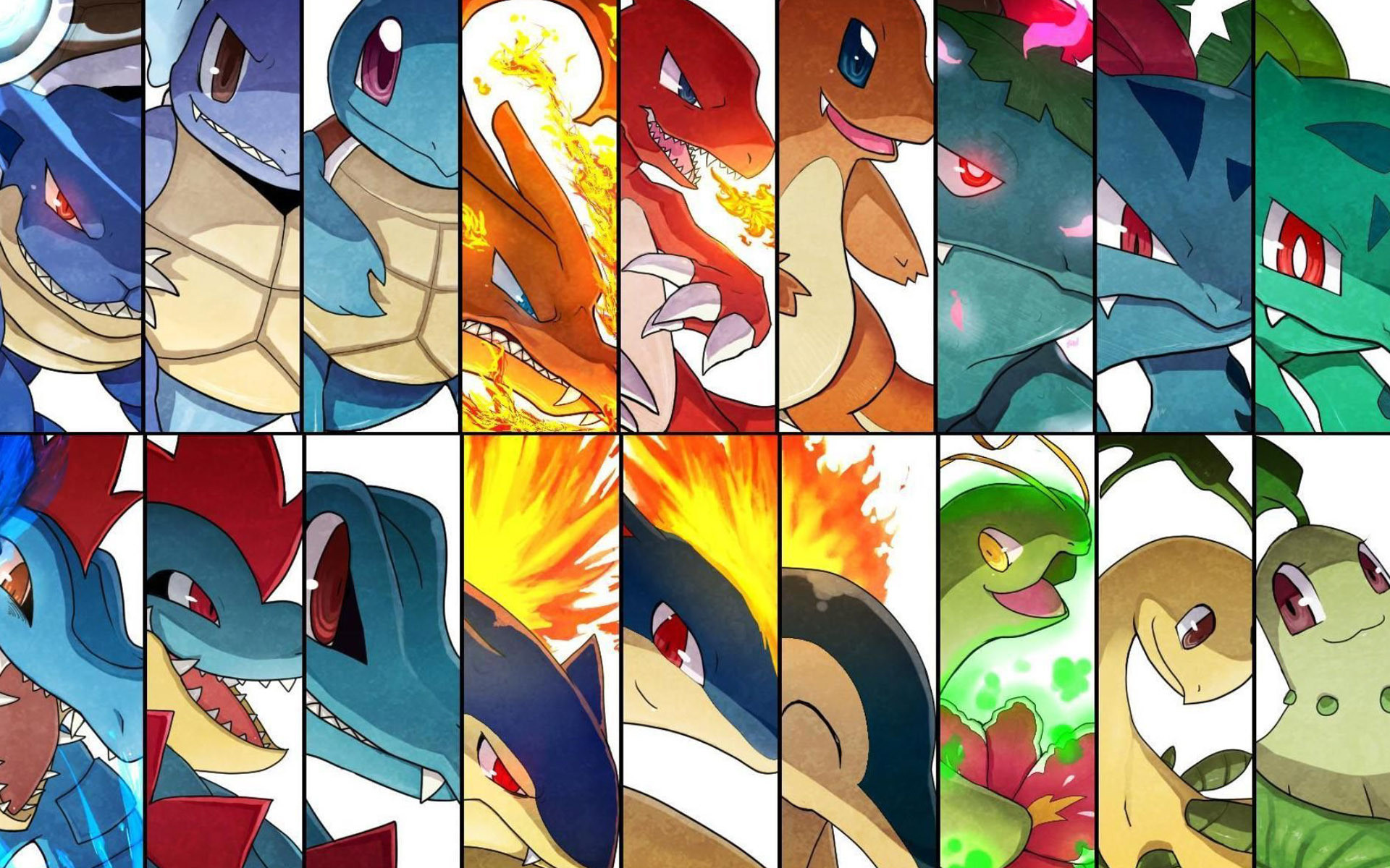 Day Favorite Starter Pokemon I love almost all the starters, but i choose  the first and second generation, especially Charmander and Cyndaquile