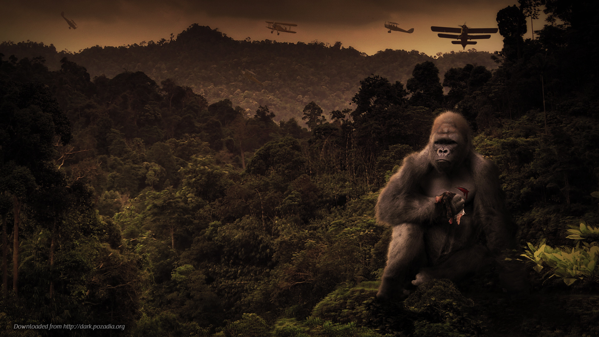 King Kong Vs Godzilla HD Wide Wallpaper for Widescreen 70 Wallpapers