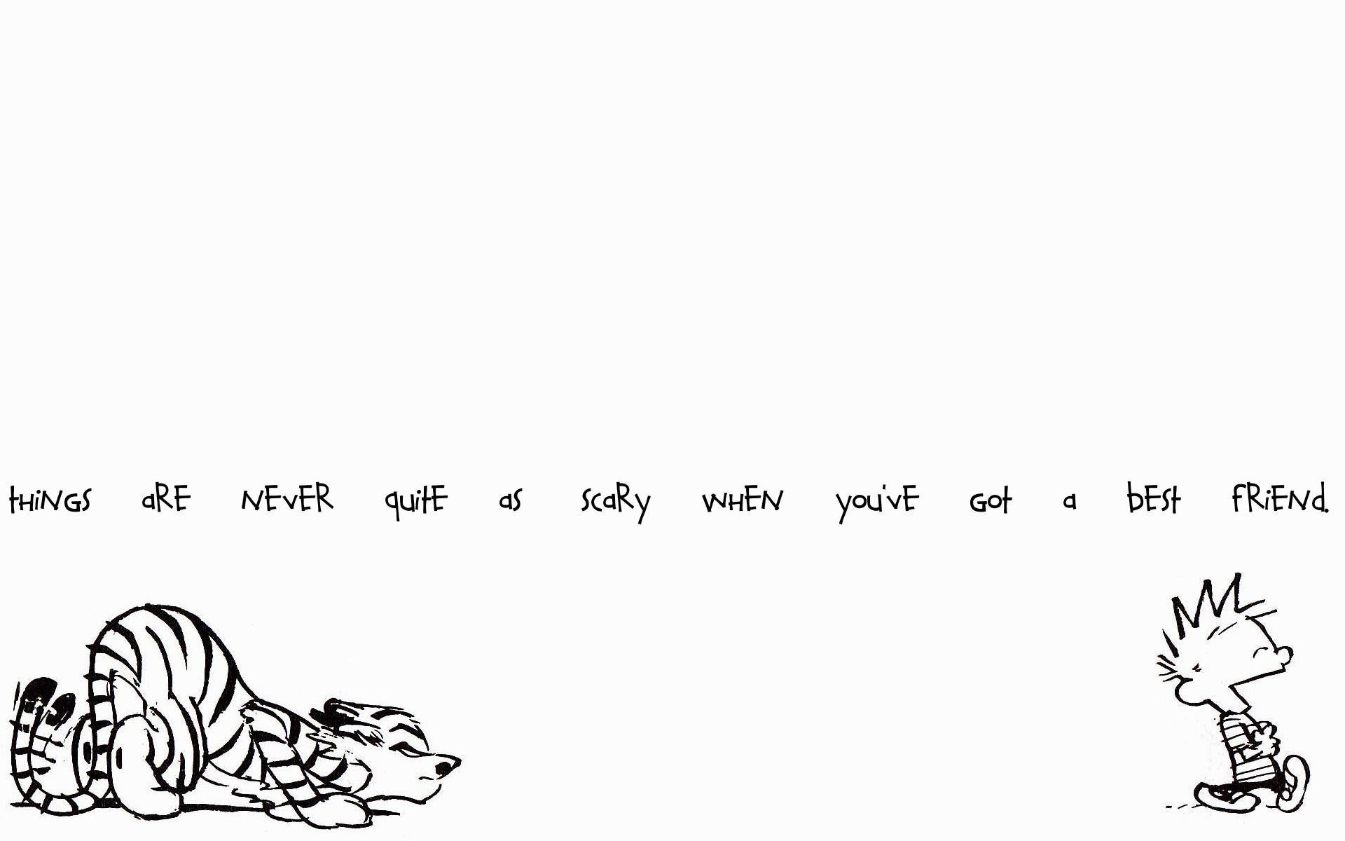 Screen-white-Calvin-and-Hobbes-Wallpapers
