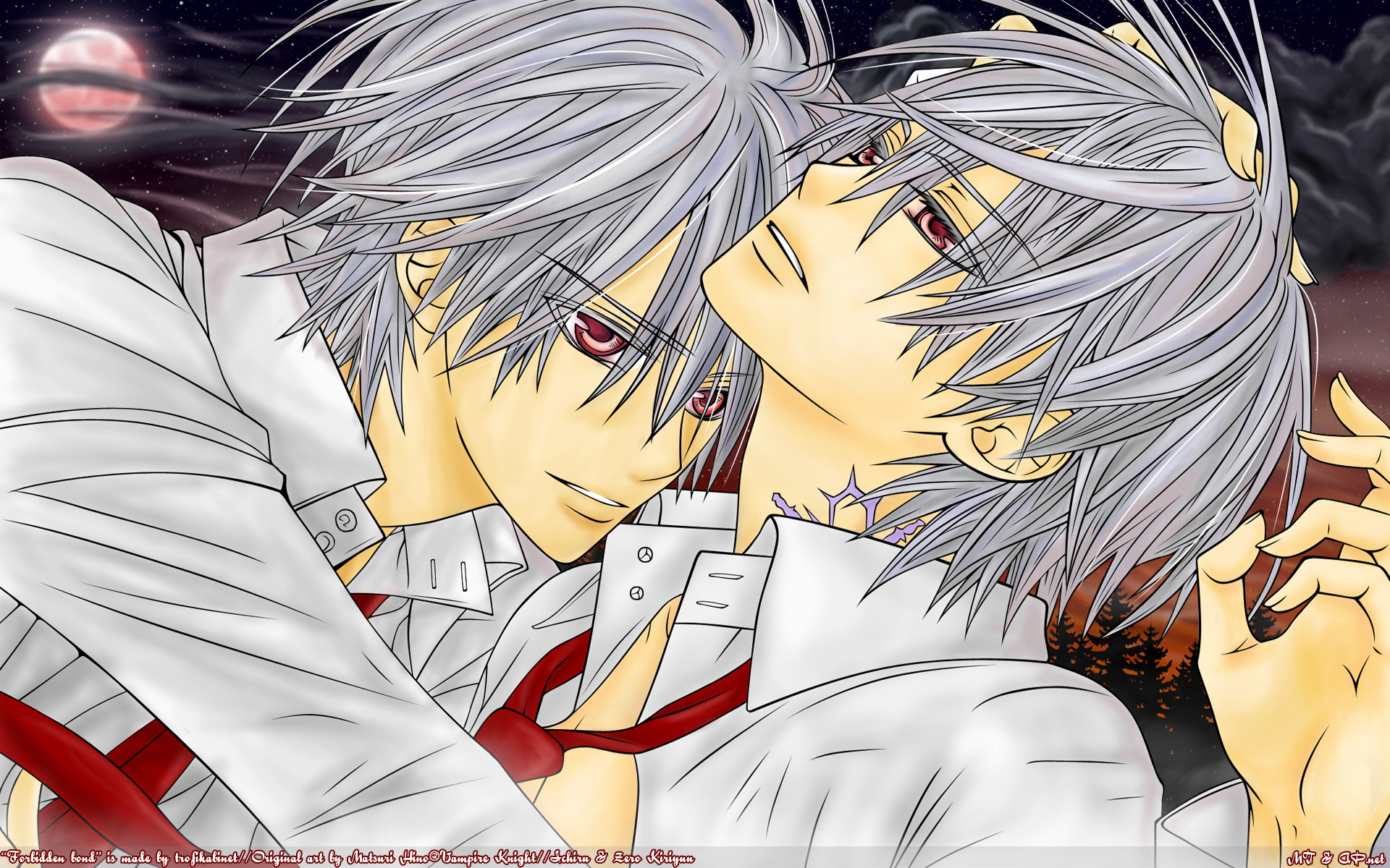 Anime – Vampire Knight Wallpaper