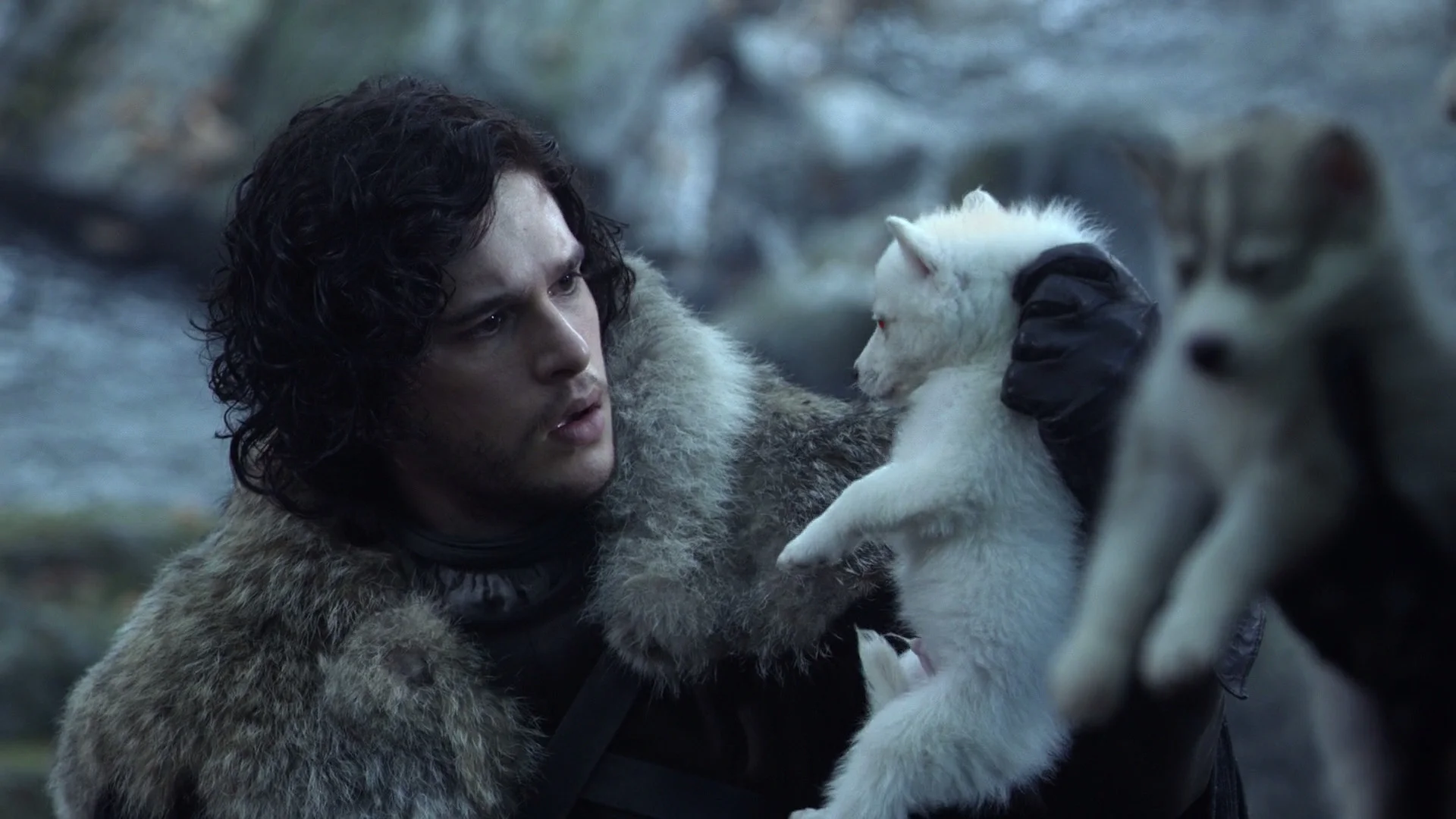Jon Snow finds Ghost as a pup