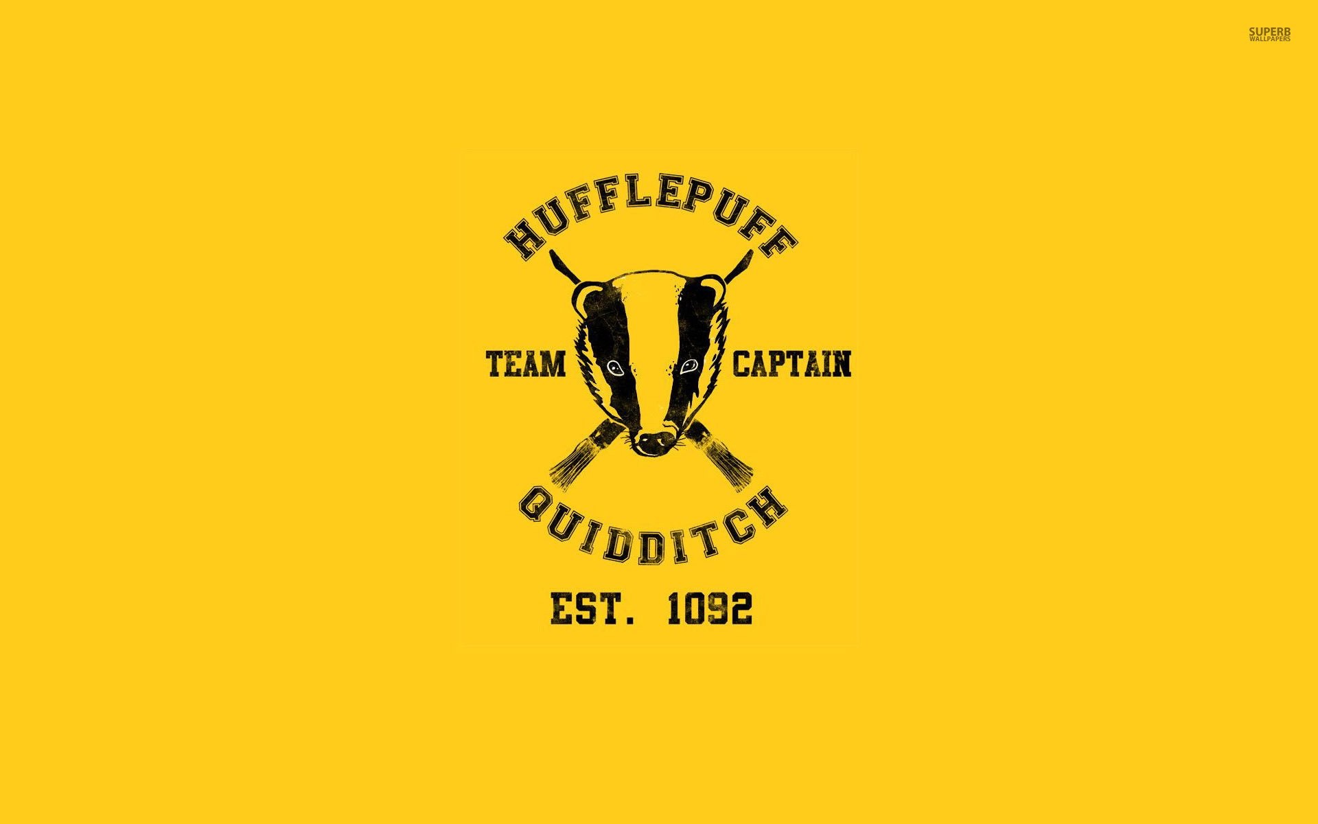 Hufflepuff Quidditch Team – Harry Potter