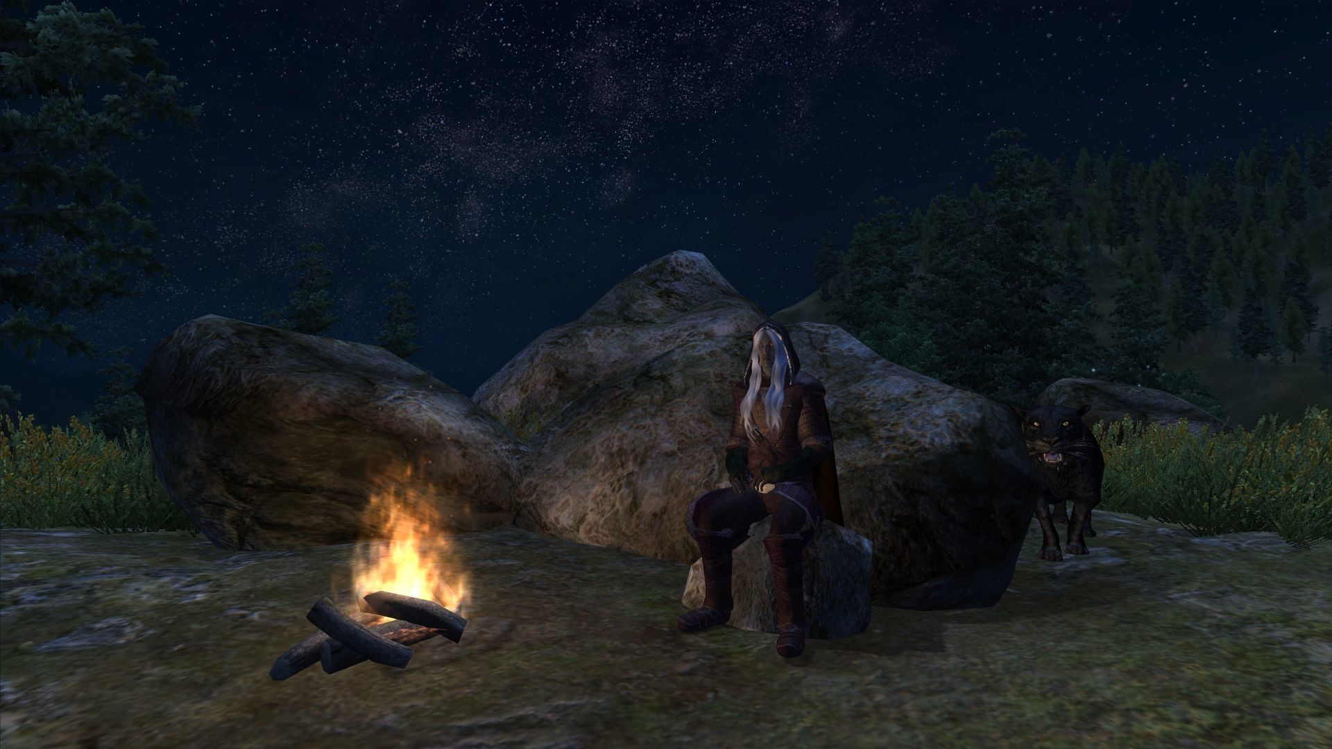 A night out in the wilderness with Drizzt and Guenhywar