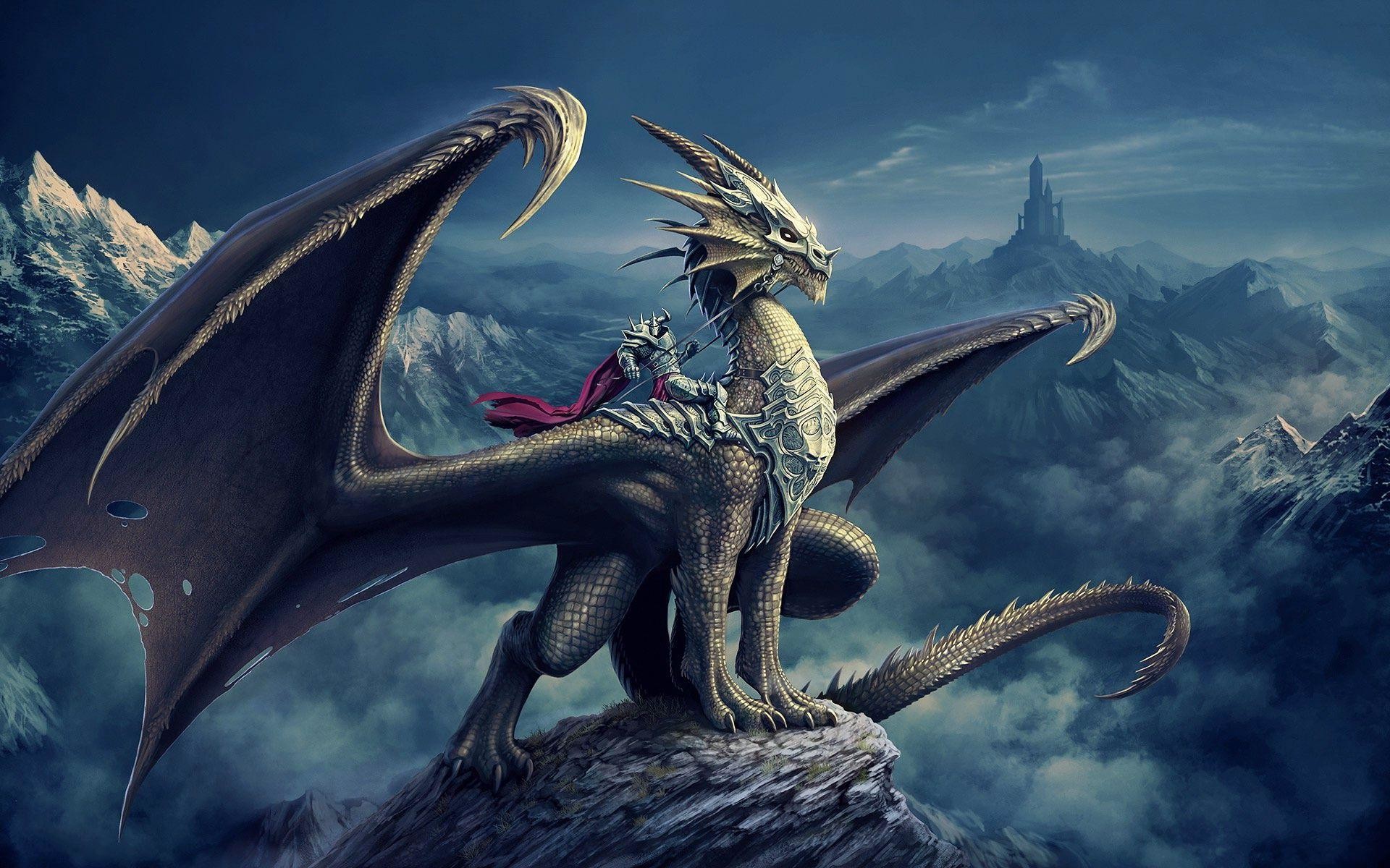3D Dragon Knight Fantasy Wallpaper Wallpaper Best Wallpaper HD