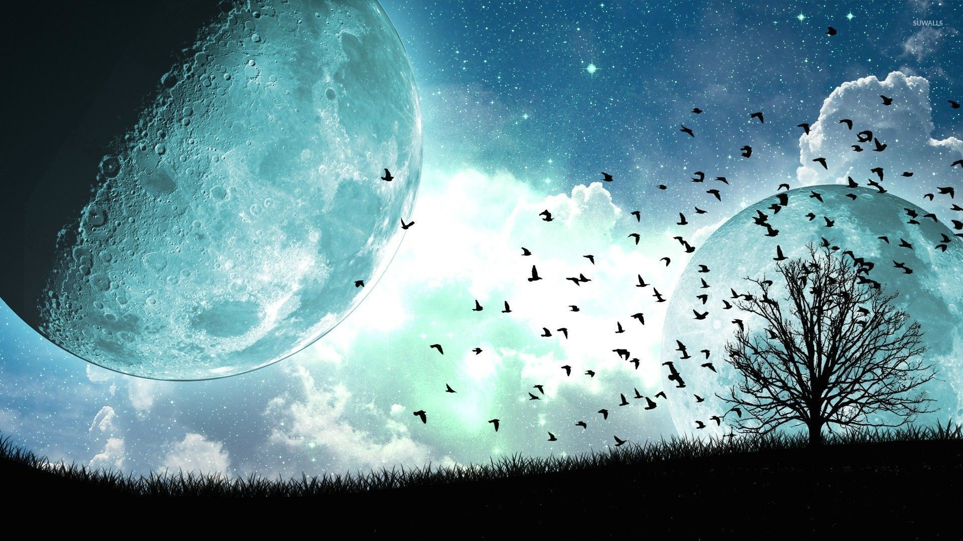 Birds and tree under the blue moon wallpaper