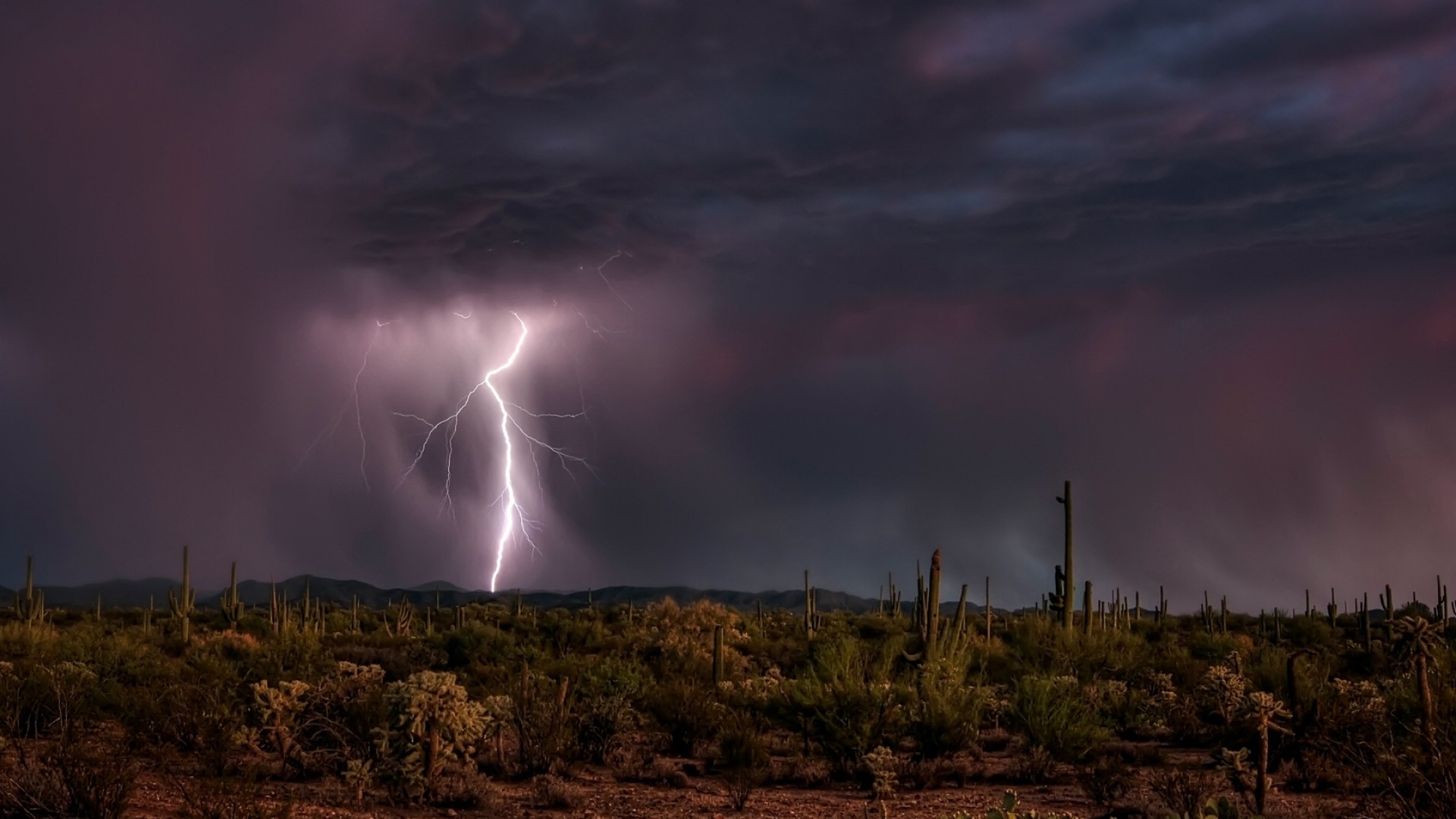 Preview wallpaper lightning, category, desert, elements, cactuses 1920×1080