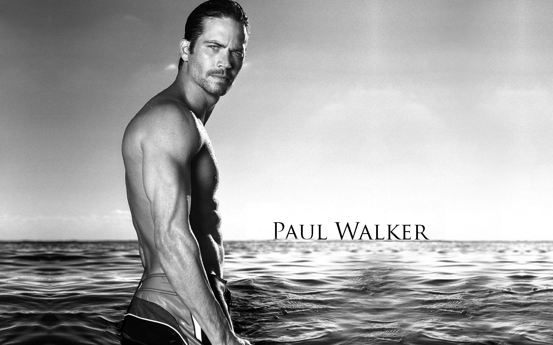 Paul Walker Hd Wallpaper Full HD Wallpapers Pinterest Paul walker pictures, Paul walker and Hd wallpaper