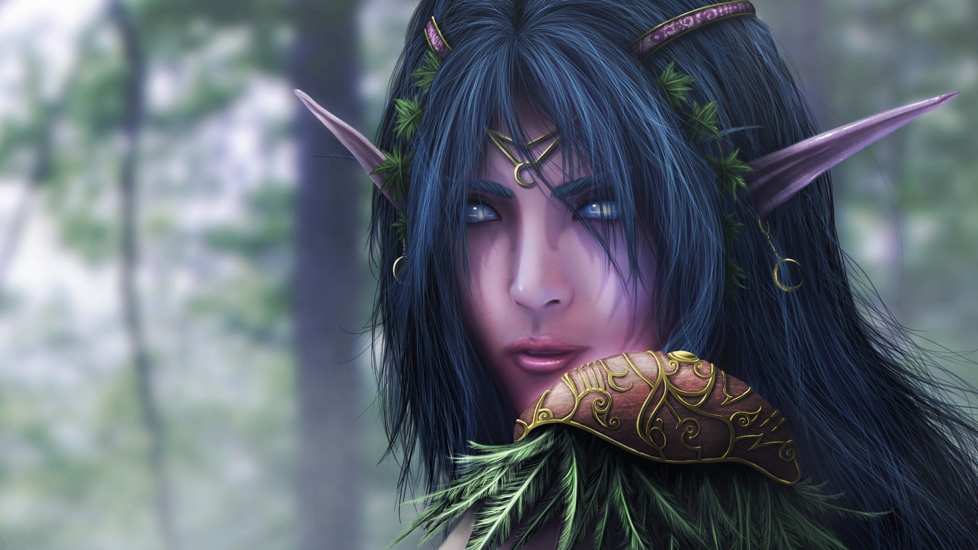 Night Elf download Night Elf image