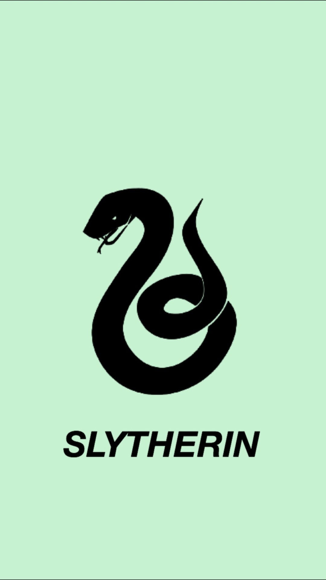 Download Slytherin Aesthetic Item Collection Wallpaper  Wallpaperscom