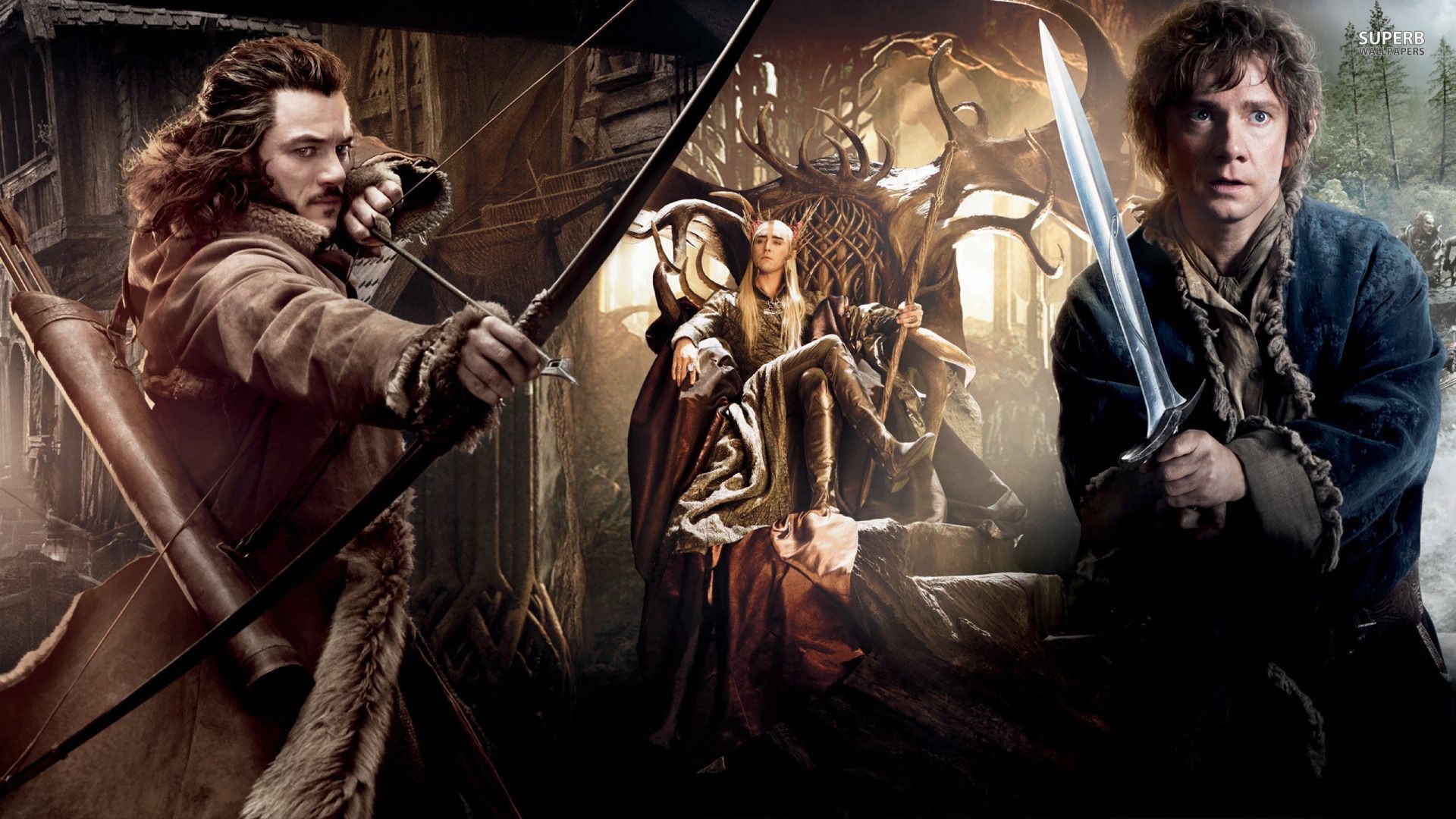 The Hobbit The Desolation of Smaug wallpaper – Movie wallpapers