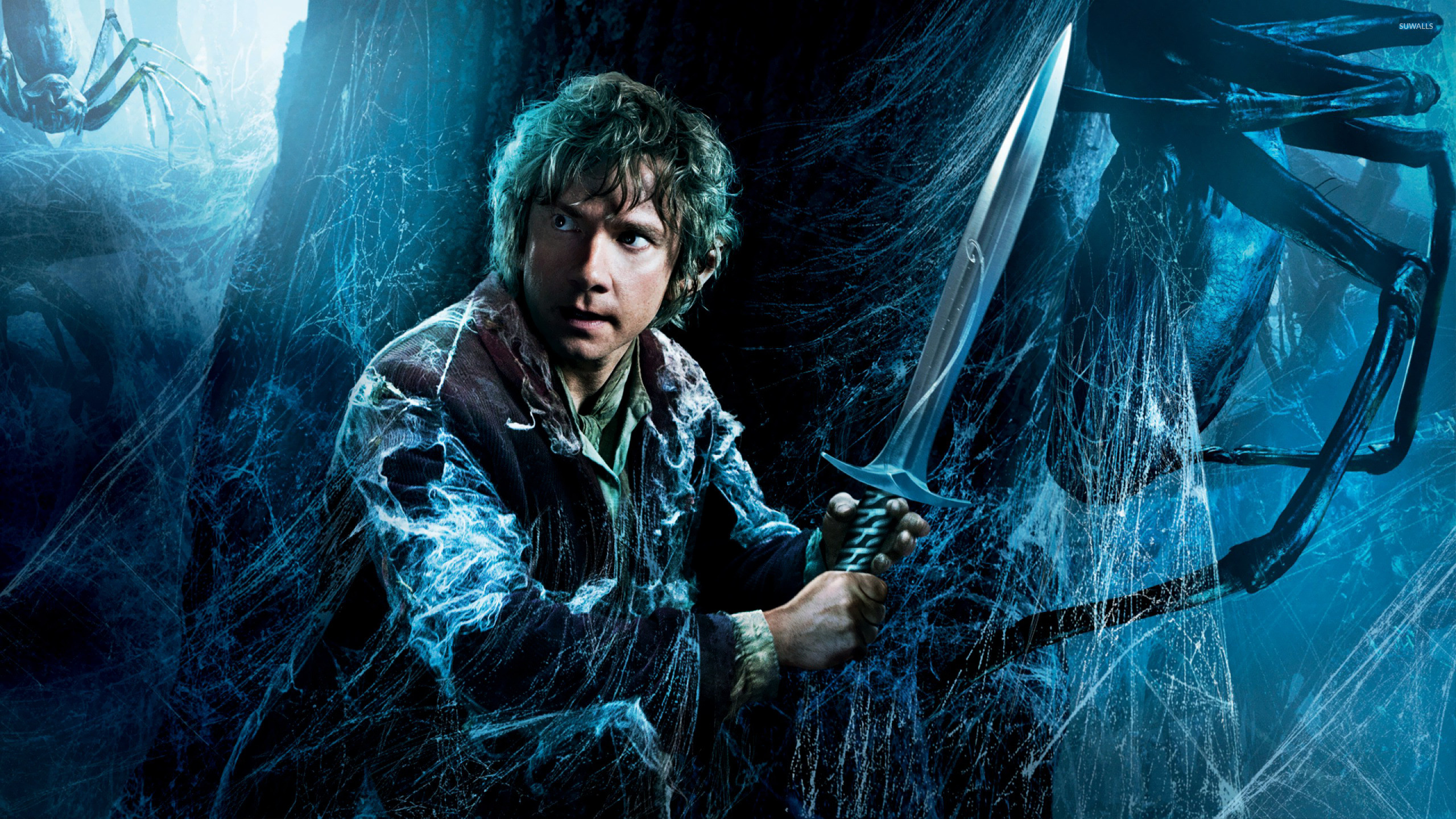 Bilbo The Hobbit The Desolation of Smaug wallpaper