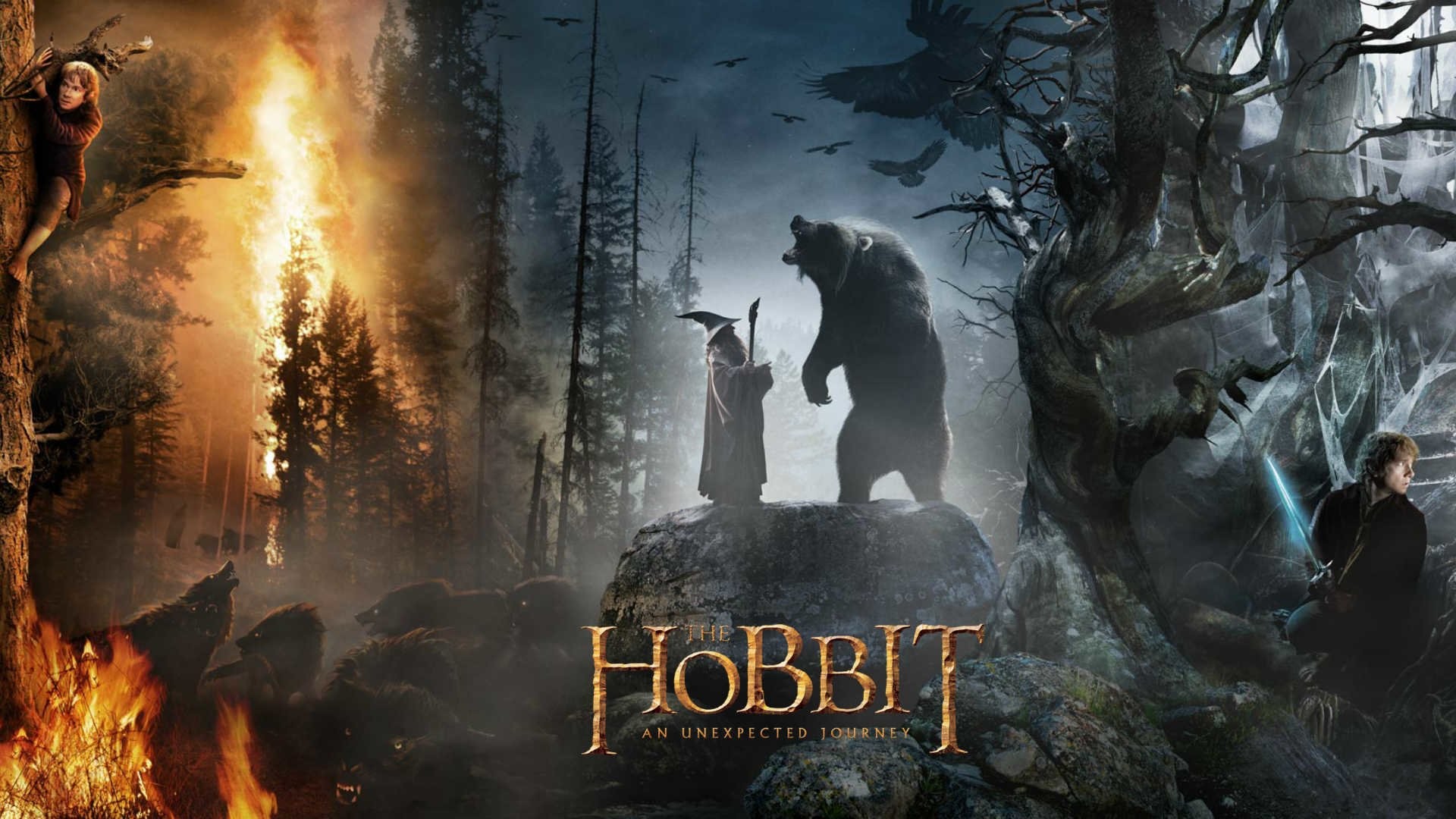 Movie – The Hobbit An Unexpected Journey Wallpaper