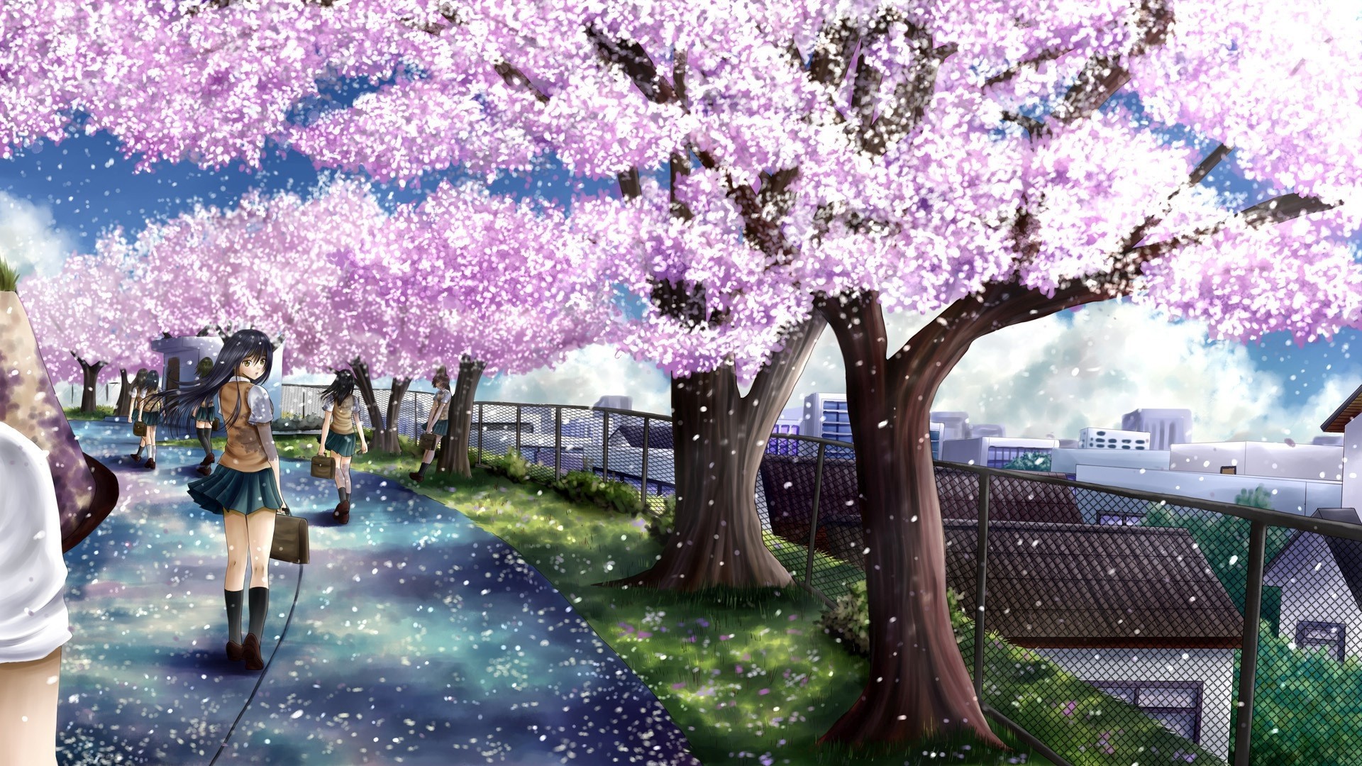 Cherry Blossom Anime wallpaper – 1362511