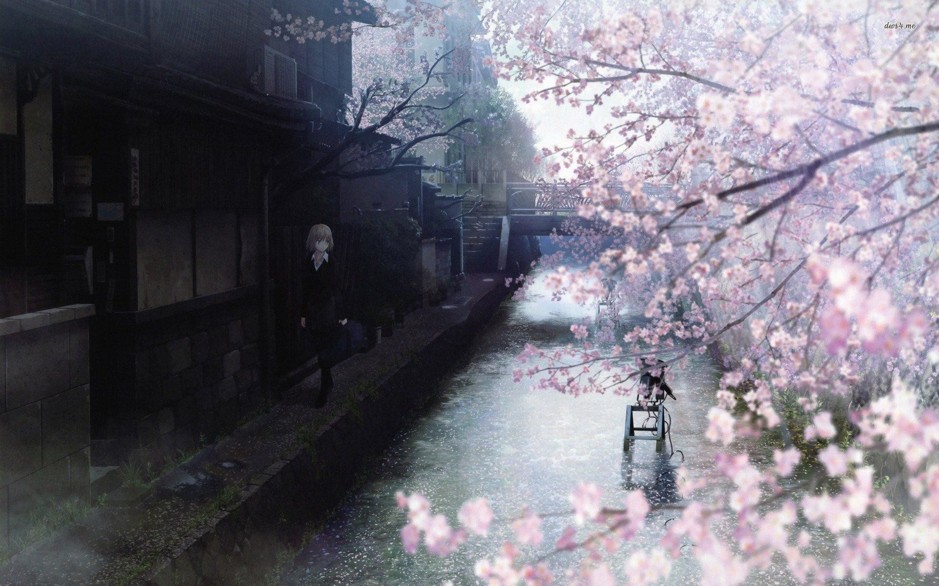 Cherry Blossom Samurai 3840x2160  rwallpaper