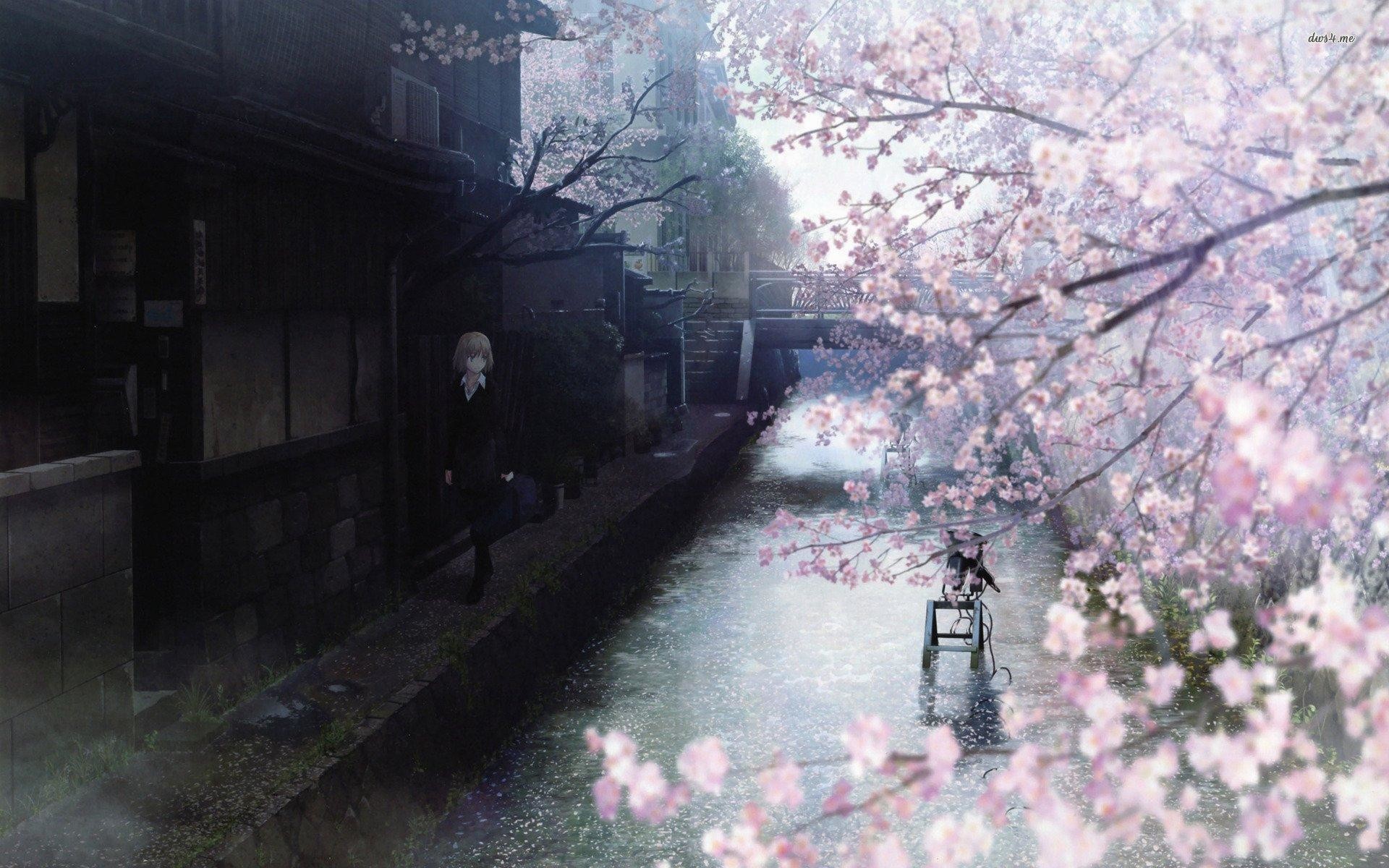 Wallpaper.wiki HQ Anime Cherry Blossom PIC WPC004906