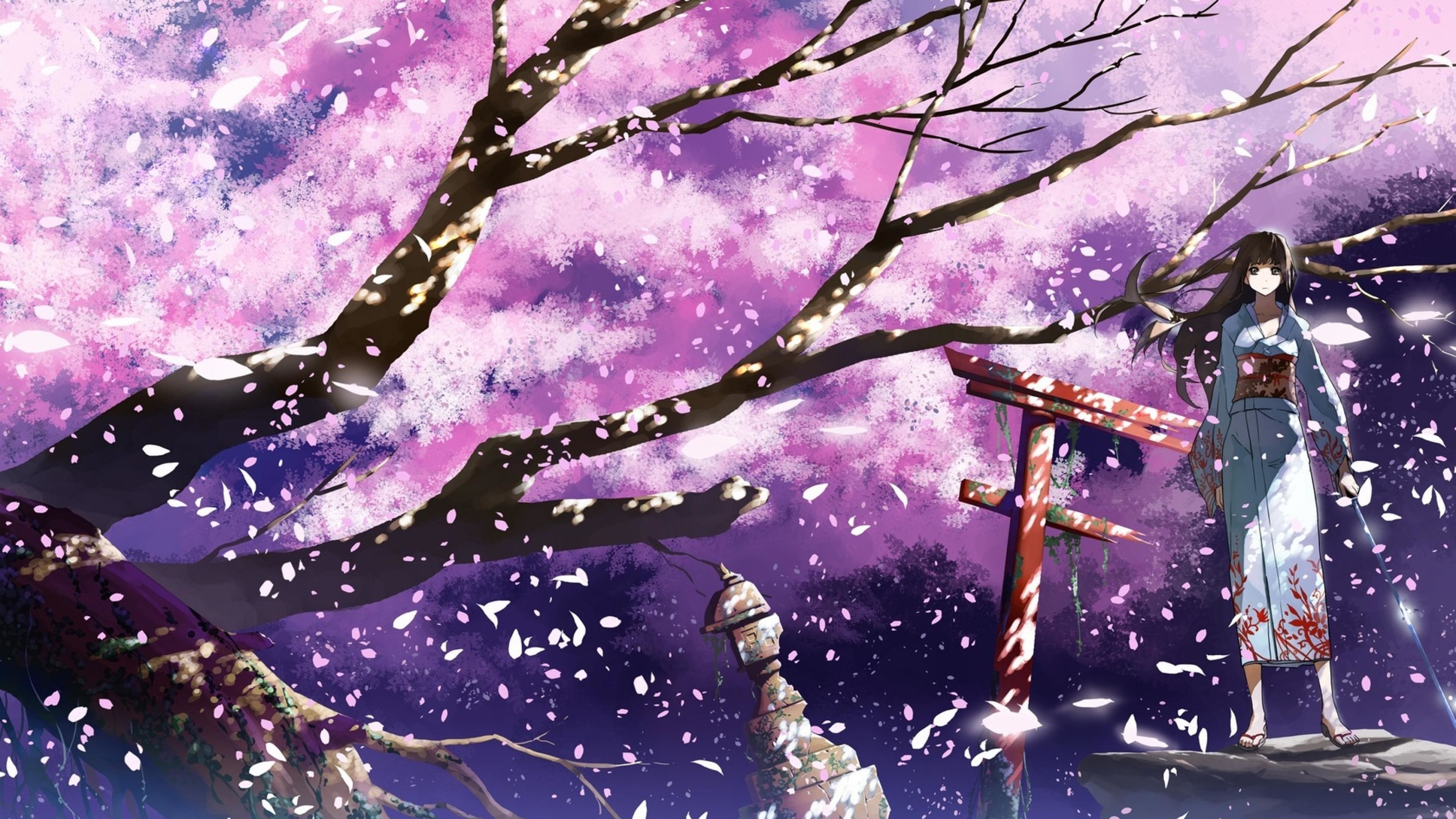 Desktop4K of the Day / 20 Cherry Blossoms