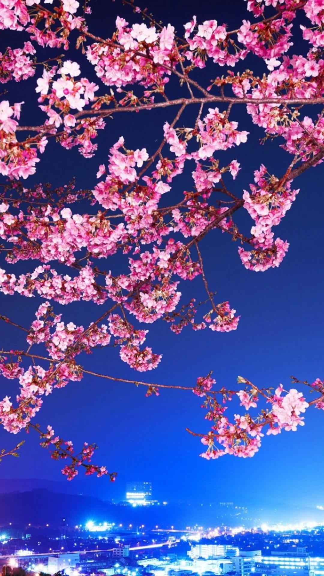 Japan cherry blossom iphone HD wallpapers  Pxfuel