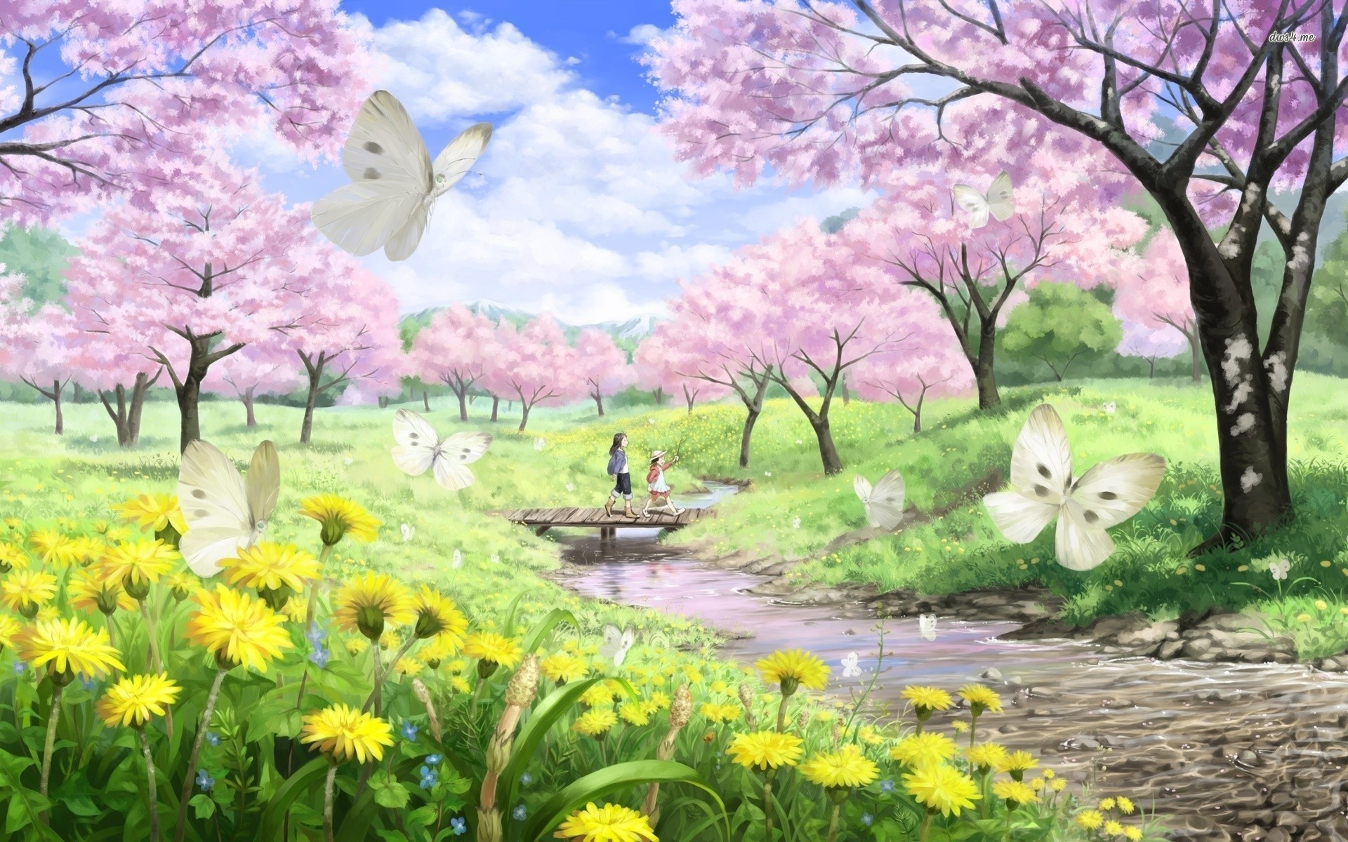 Ten Miles of Cherry Blossom HD wallpaper download