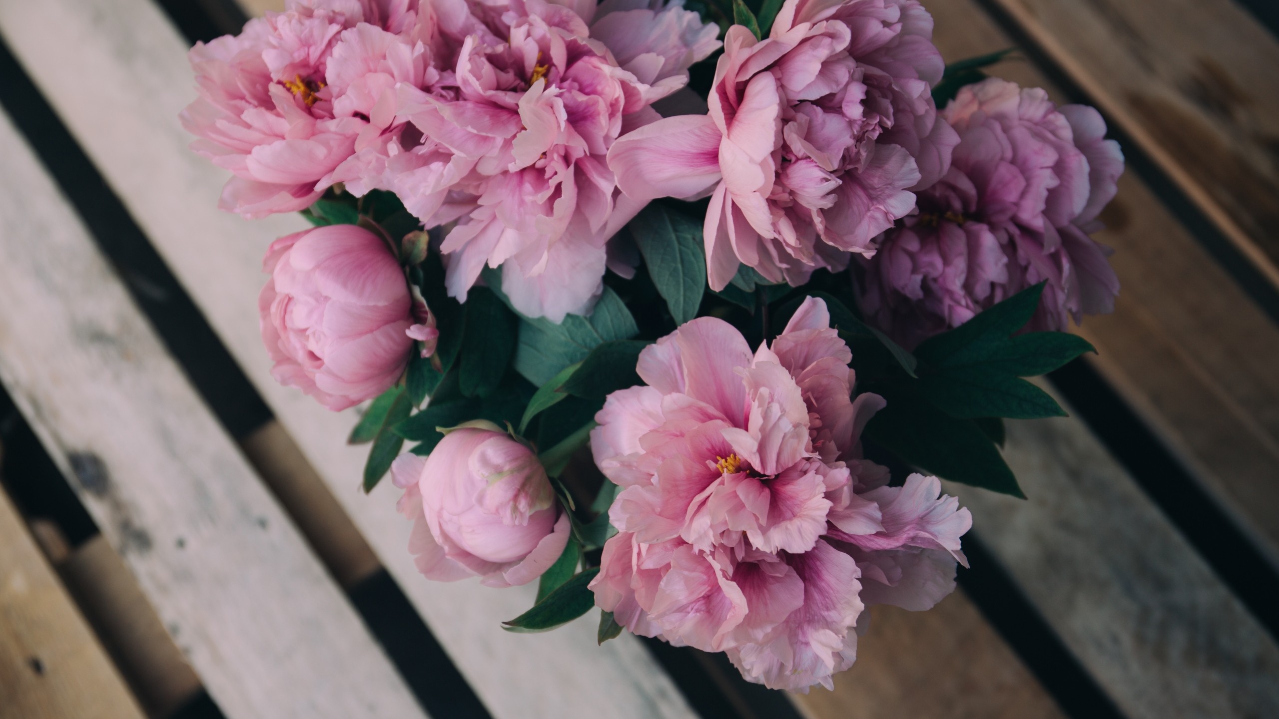 Preview wallpaper peonies, flowers, bouquet, pink 2560×1440