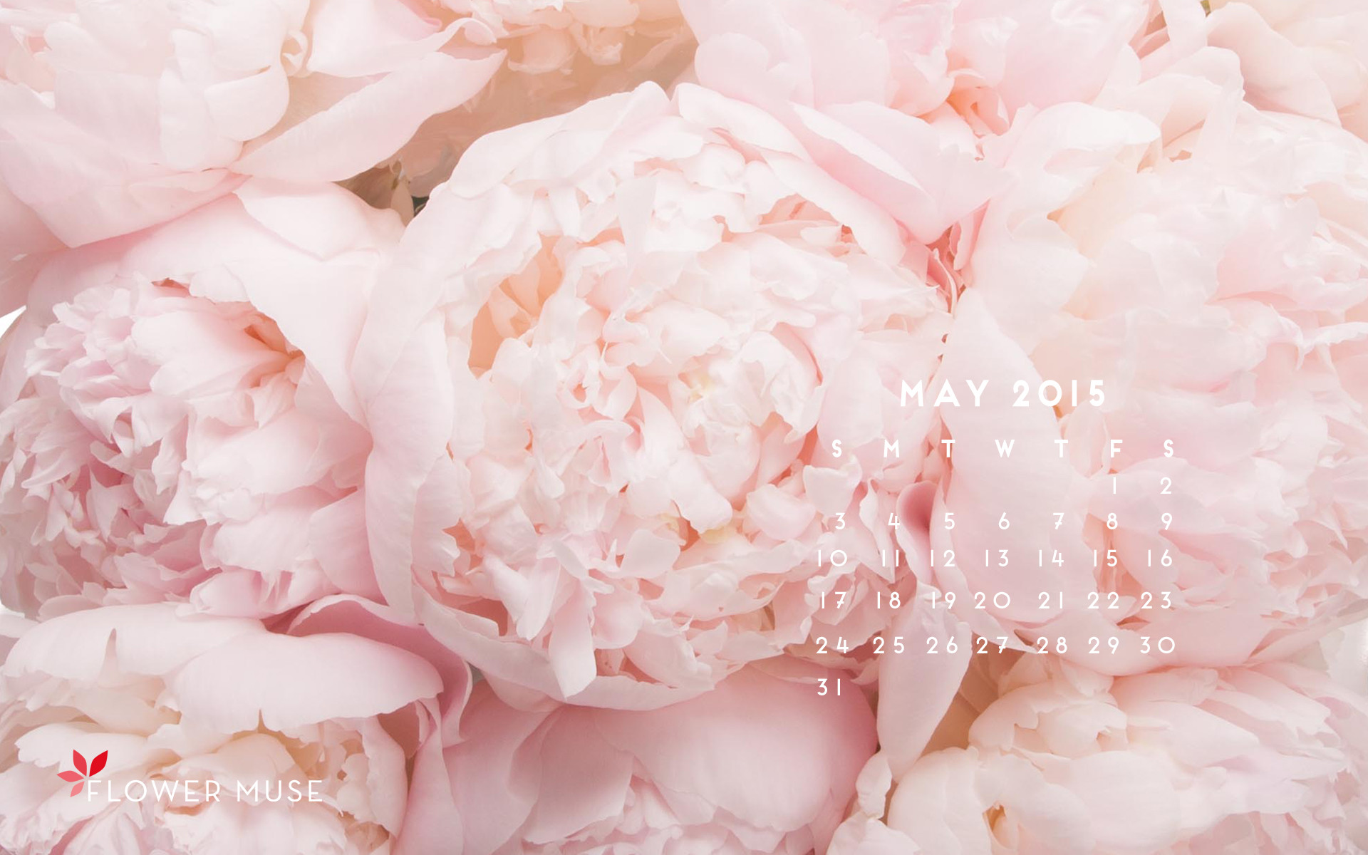 Behind the Scenes at a Peony Farm May 2015 Calendar