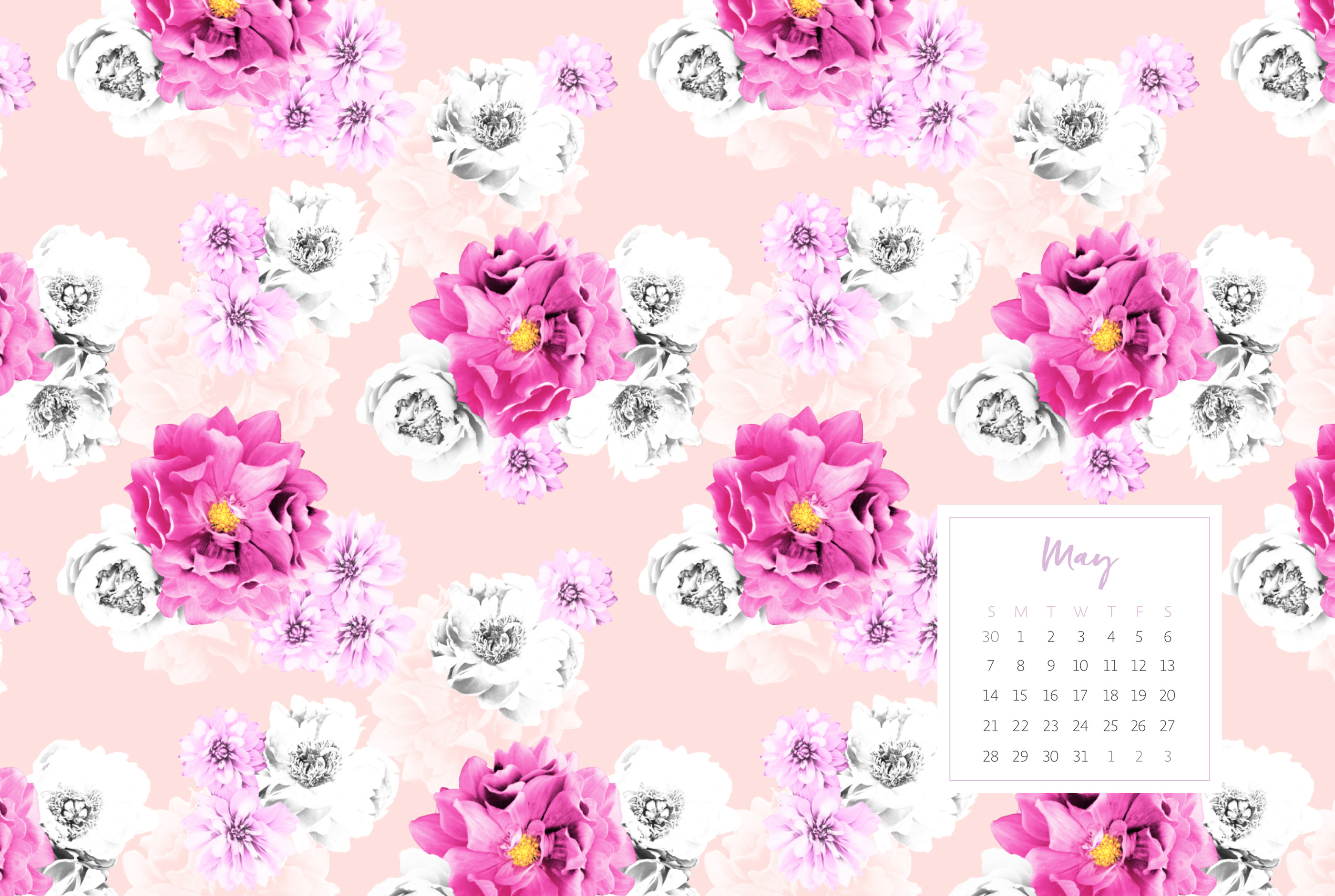 Click here to download Peony Peach desktop