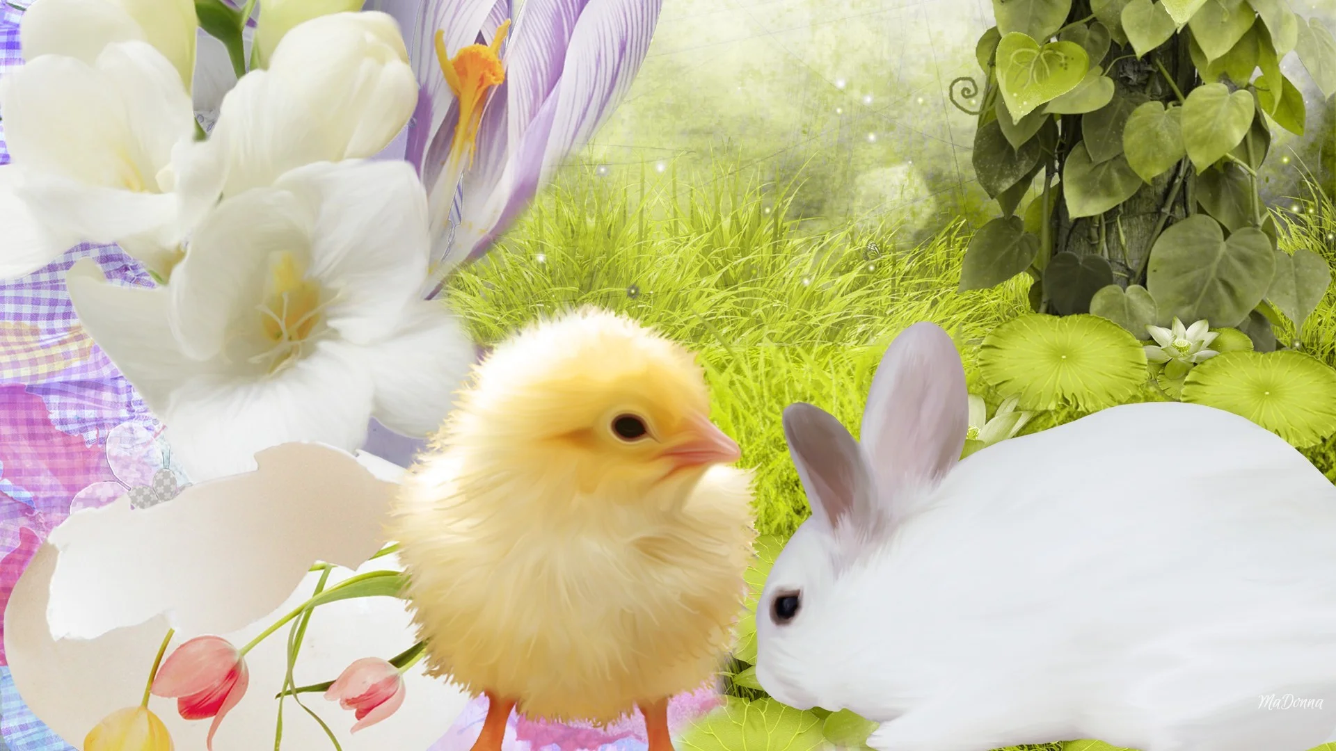 Bunny chick easter rabbit chicken grass hd wallpapers