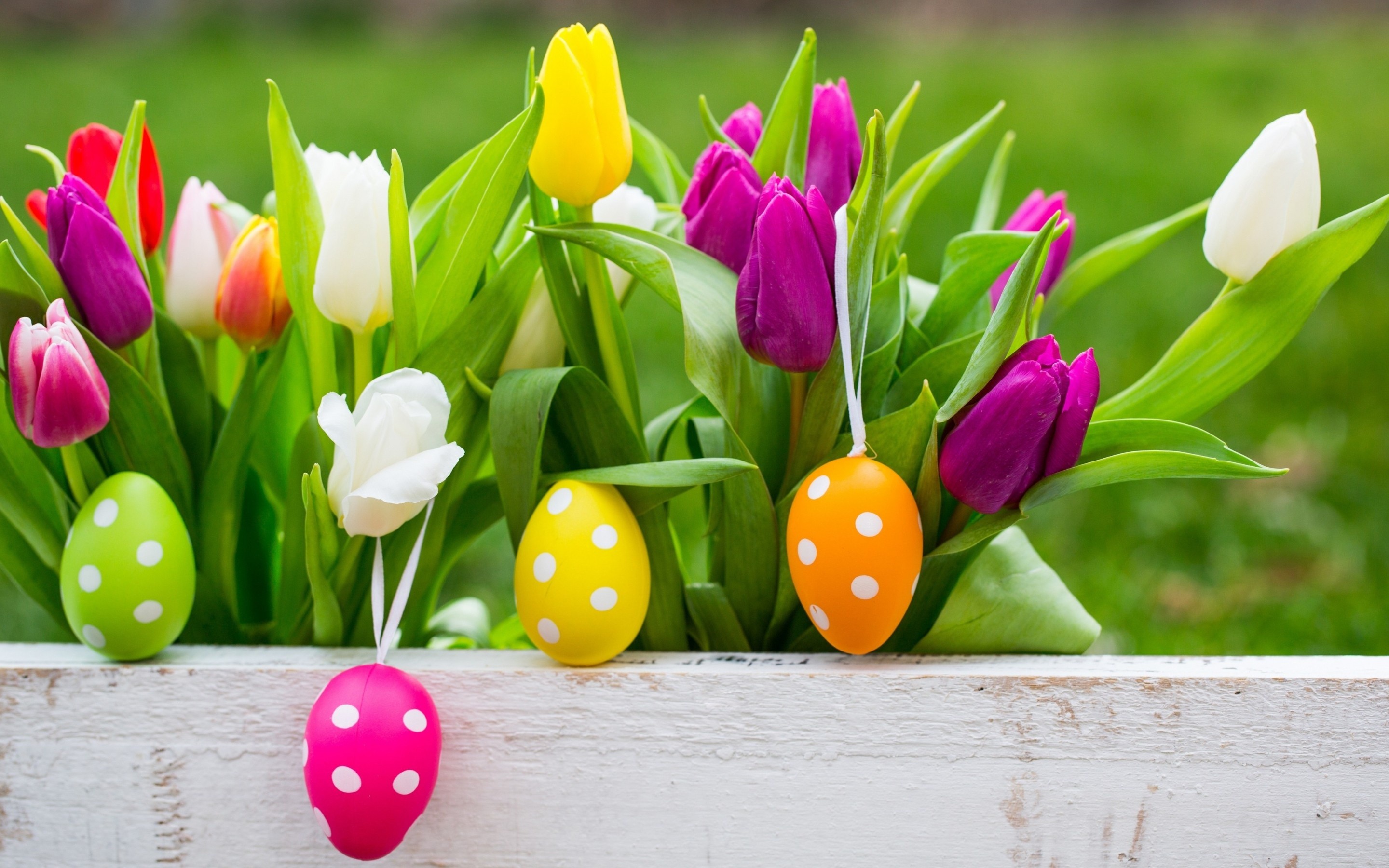 Easter Eggs On Flowers Background Wallpapers – 1042192