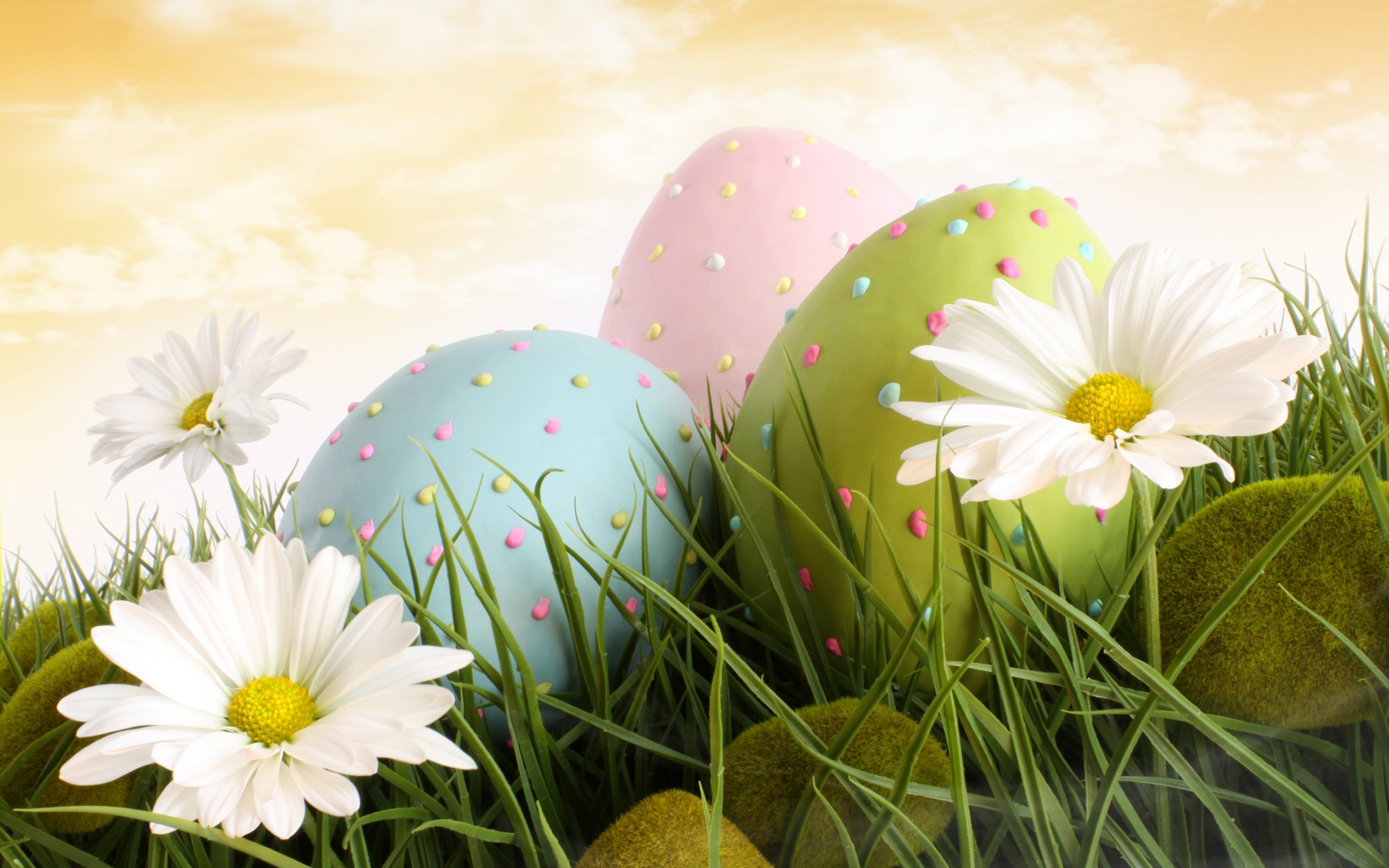 HD Bunnies And Easter Wallpapers Desktop Backgrounds | Funmole