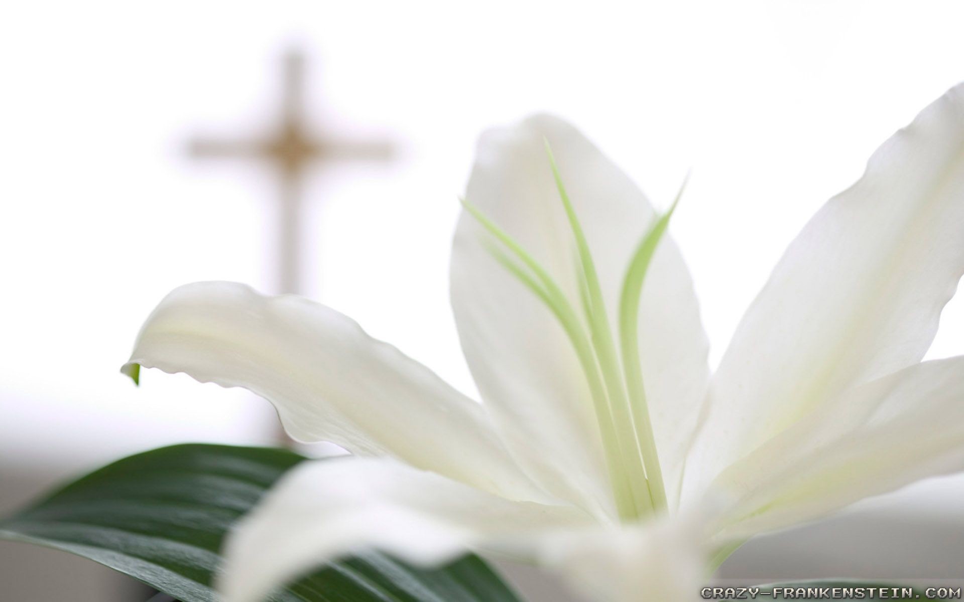 Christian Easter Wallpaper Desktop 04