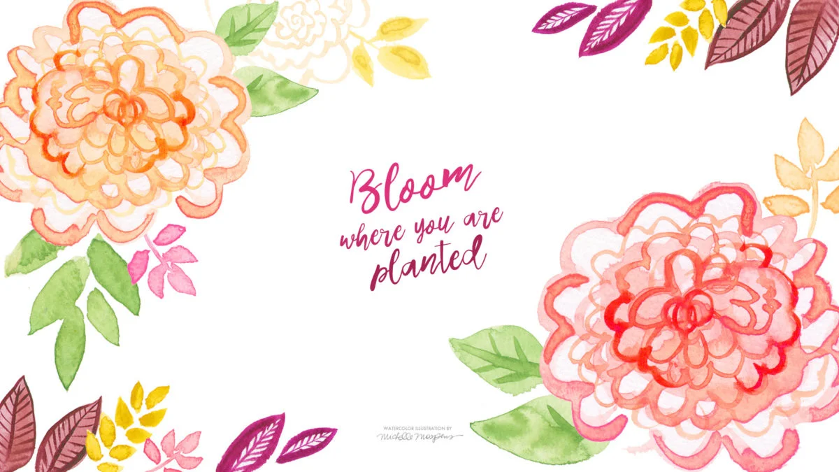 [ Download “Bloom where you are planted” Wallpaper ] …