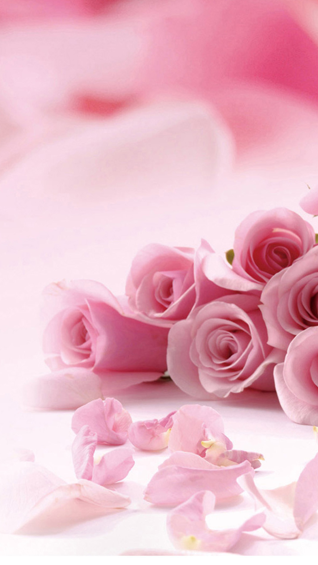 Pink Roses Flowers iPhone 6 Plus HD Wallpaper …