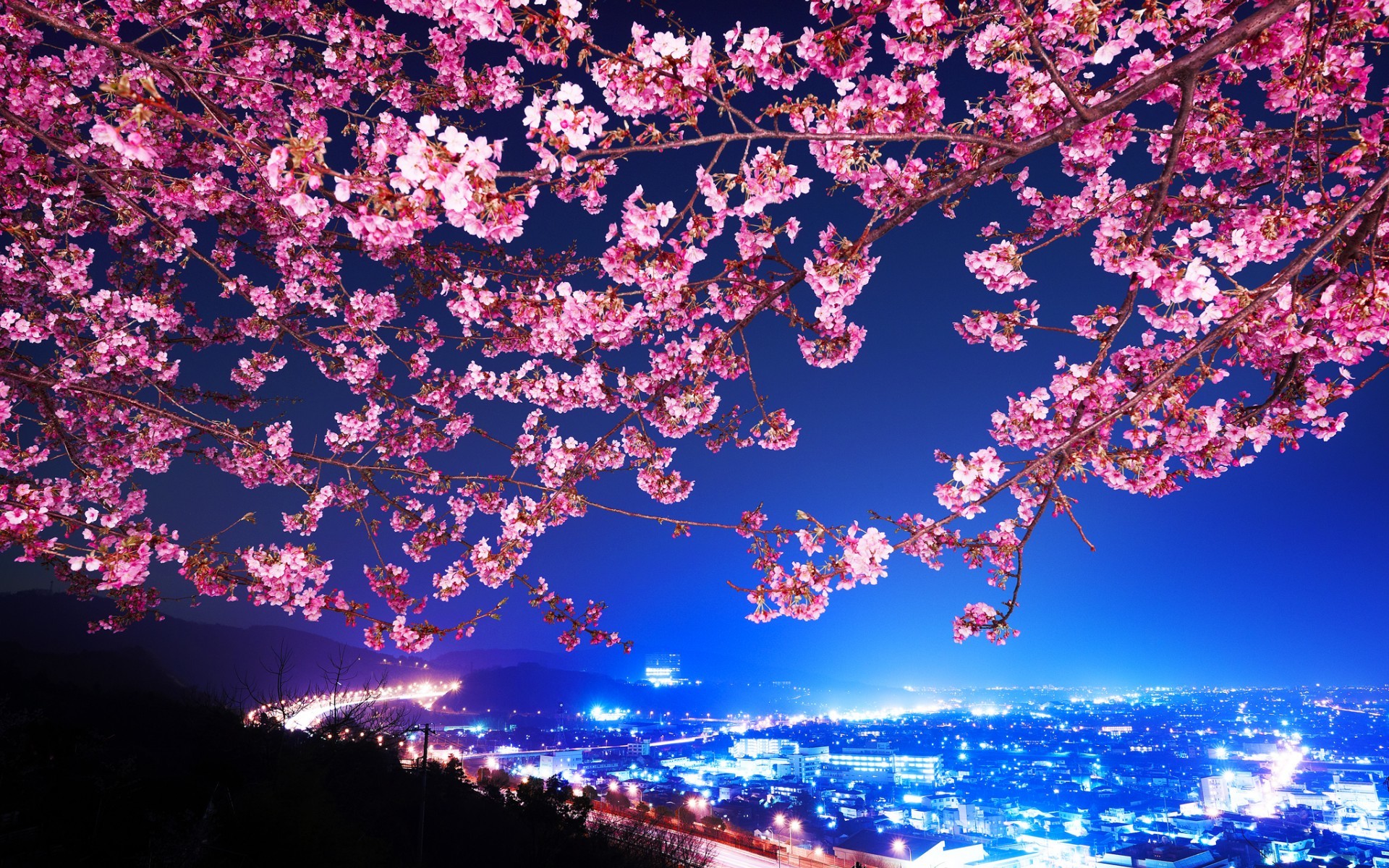 Cherry Blossom Desktop