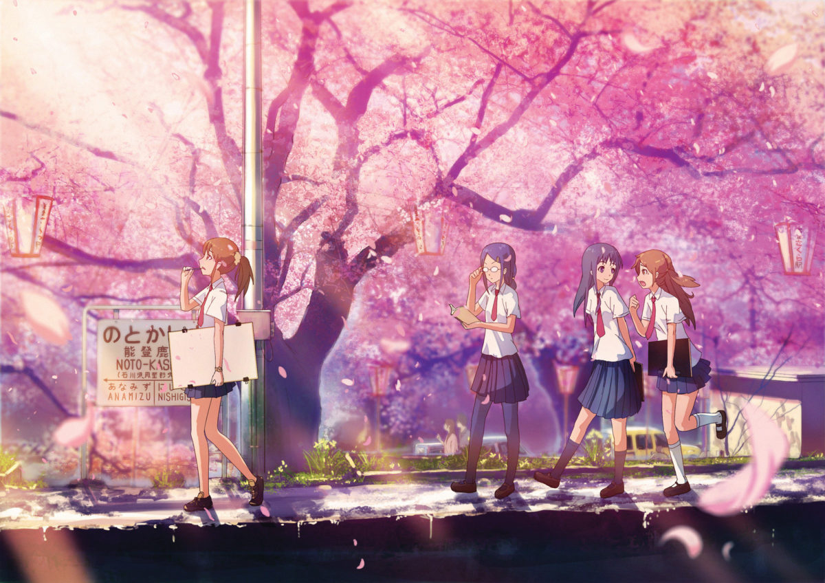 sakura tree anime wallpaper …