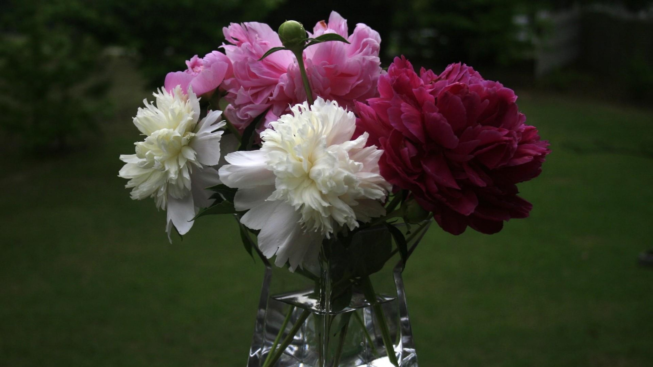 Preview wallpaper peonies, bouquet, vase, close-up 2560×1440