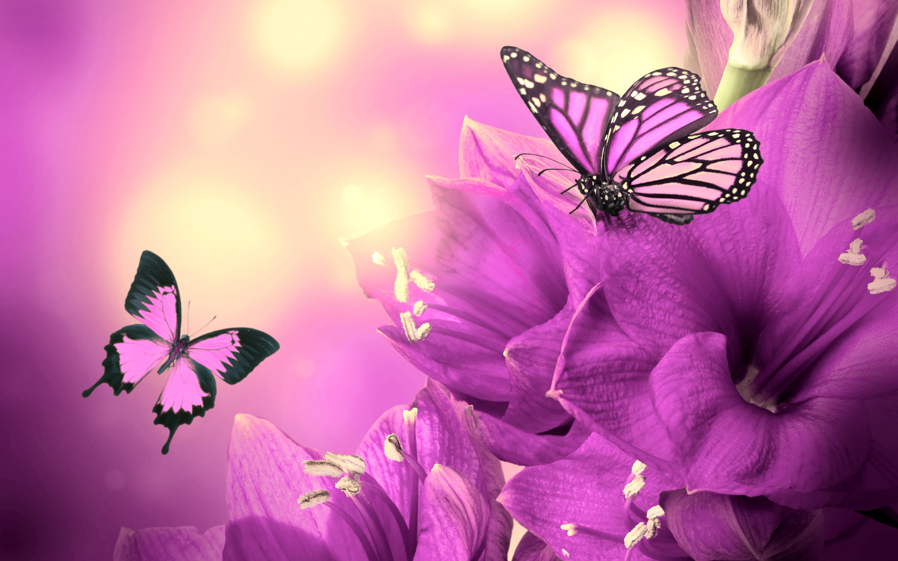 Butterflies and Flowers Wallpaper