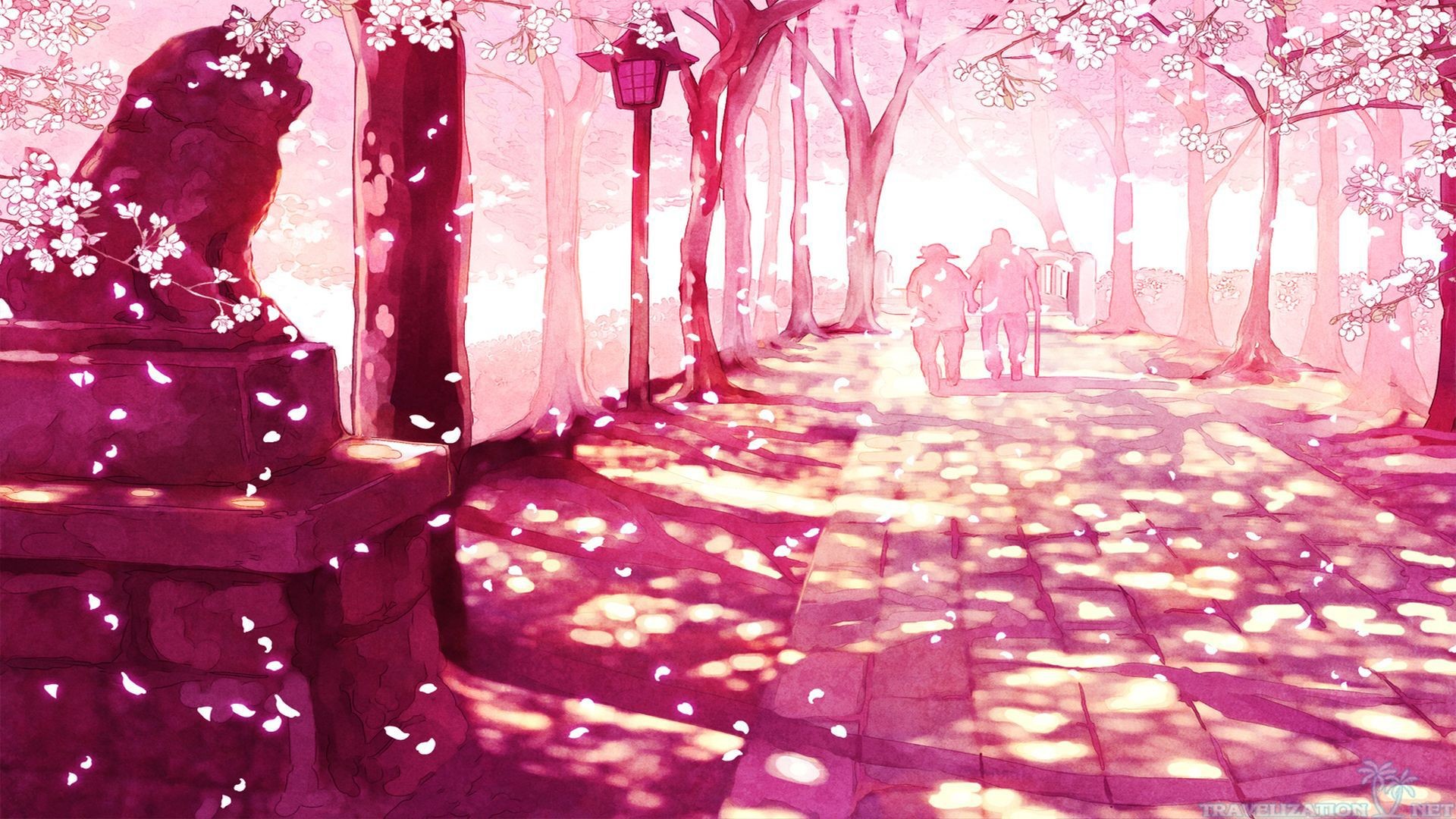 Sakura Cherry Blossom HD desktop wallpaper High Definition