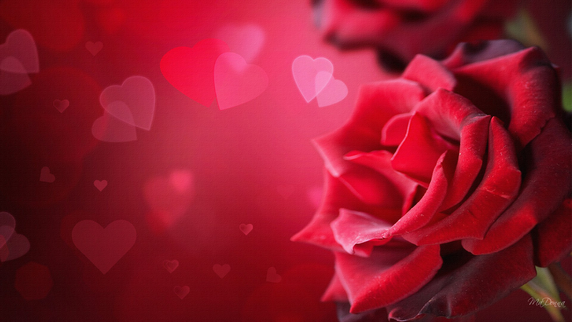 Valentine Roses and Hearts may sound like a common combination, but it  never fails!